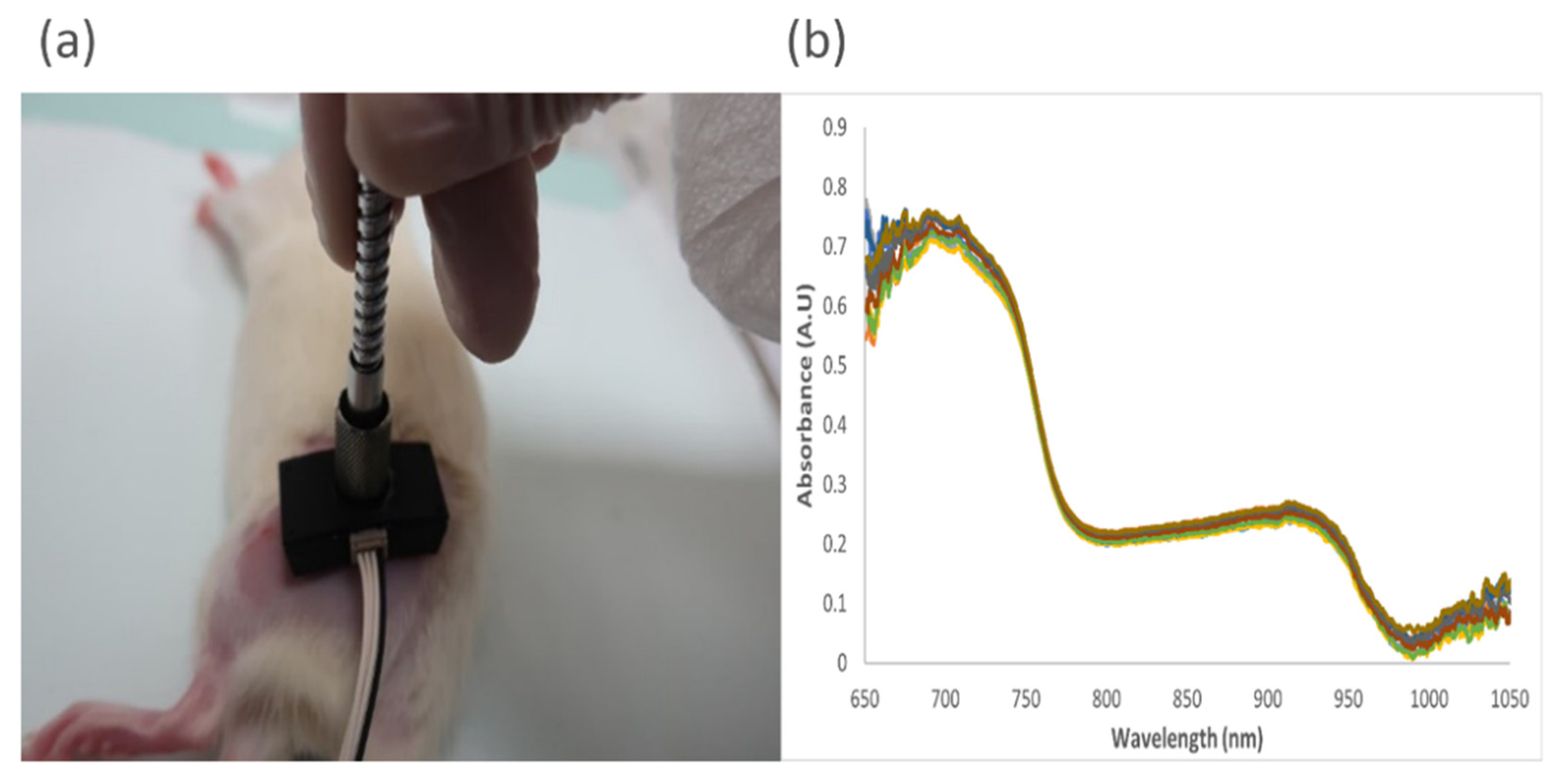 Sensors 23 02297 g003 Sensors 23 02297 g003