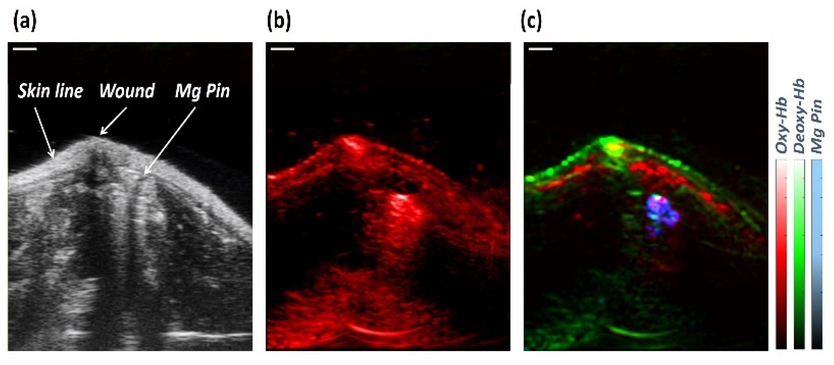 Sensors 23 02297 g006 Sensors 23 02297 g006