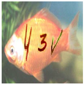 Sensors 23 02338 i012