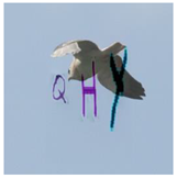 Sensors 23 02338 i017