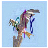 Sensors 23 02338 i023