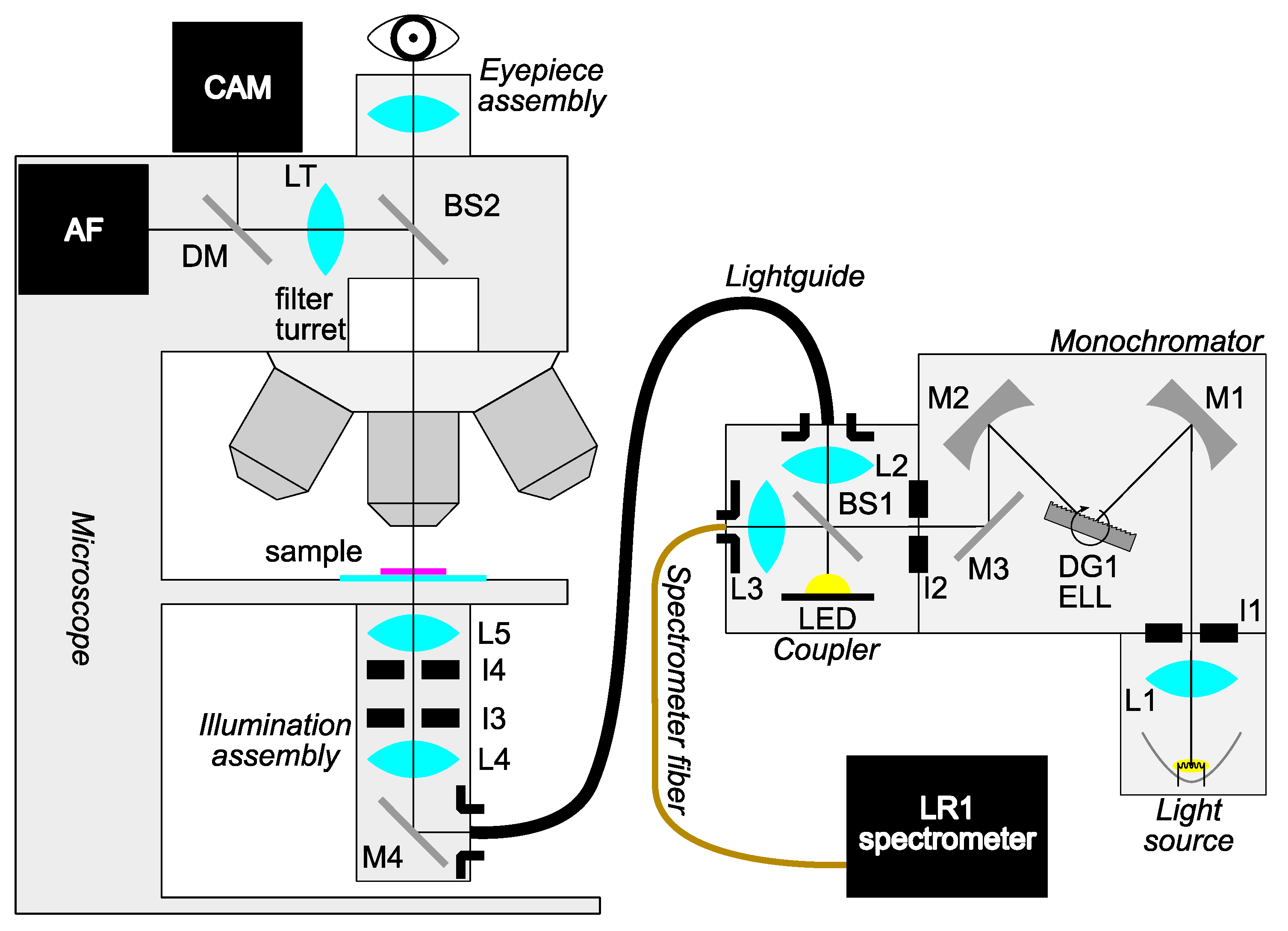 Sensors 23 02374 g001