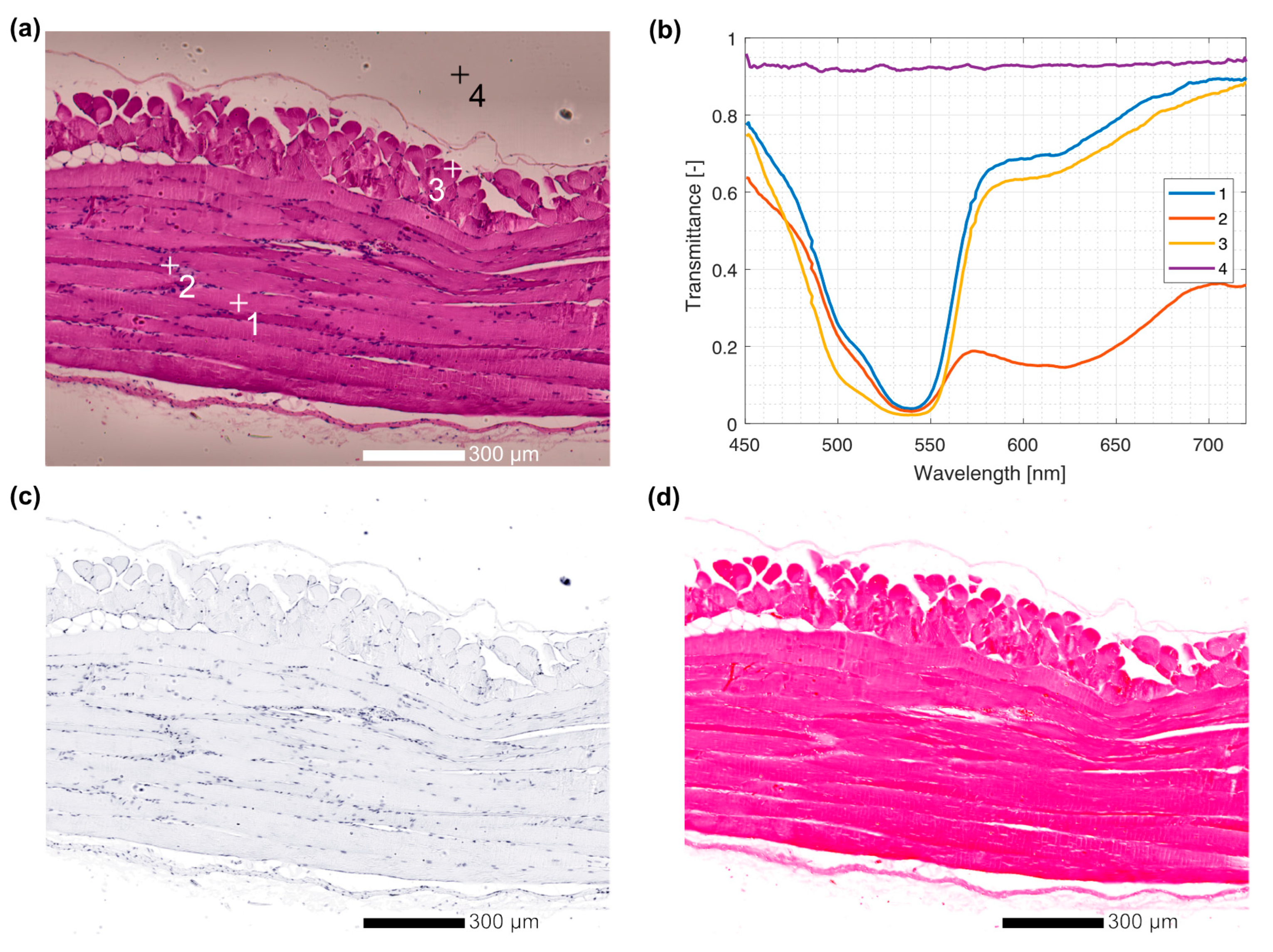 Sensors 23 02374 g008