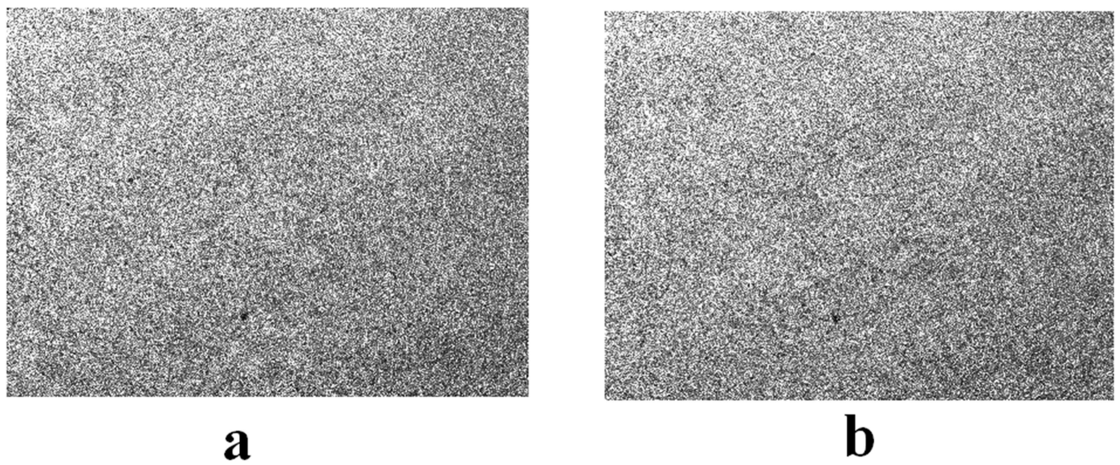 Sensors 23 02468 g004