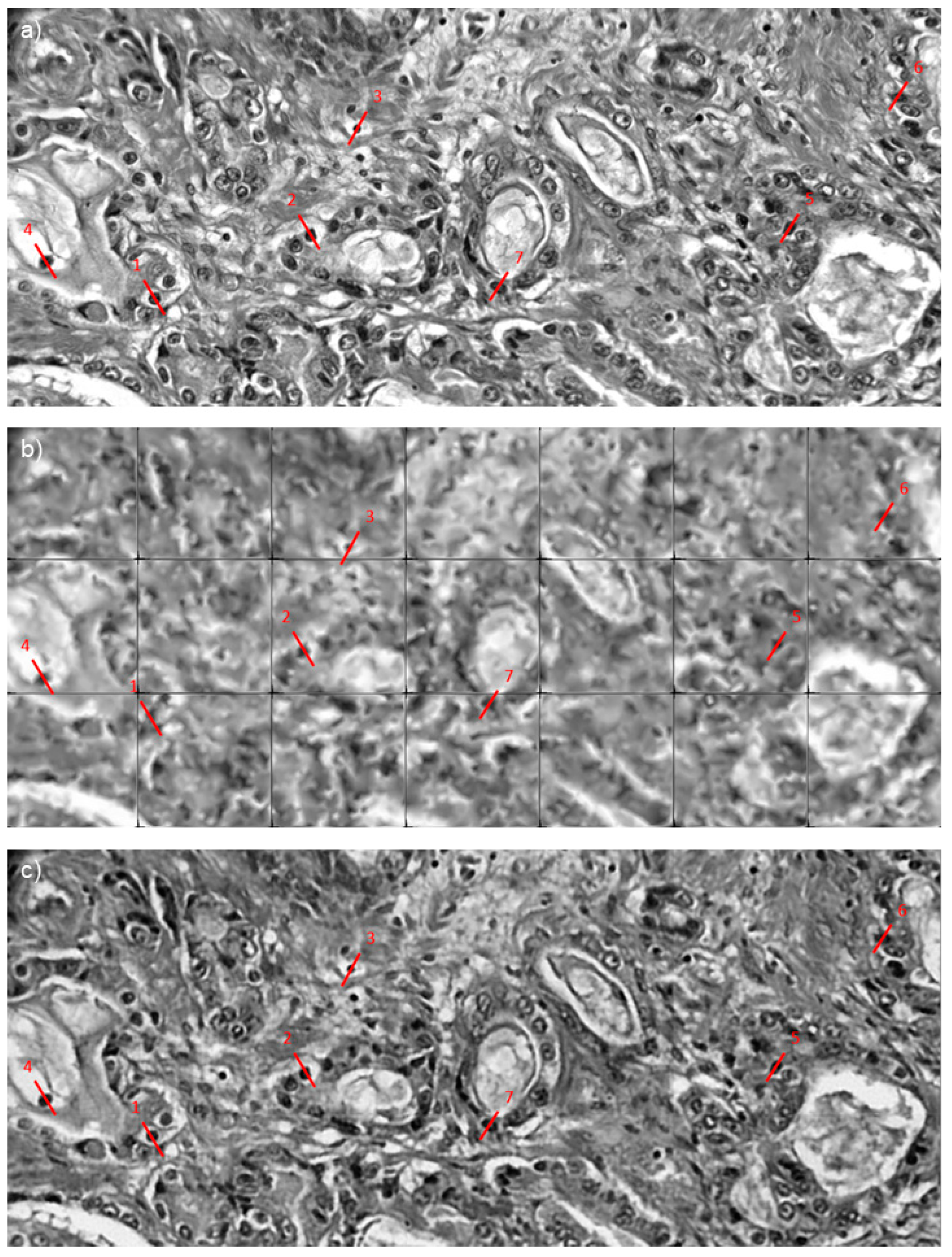 Sensors 23 02469 g006