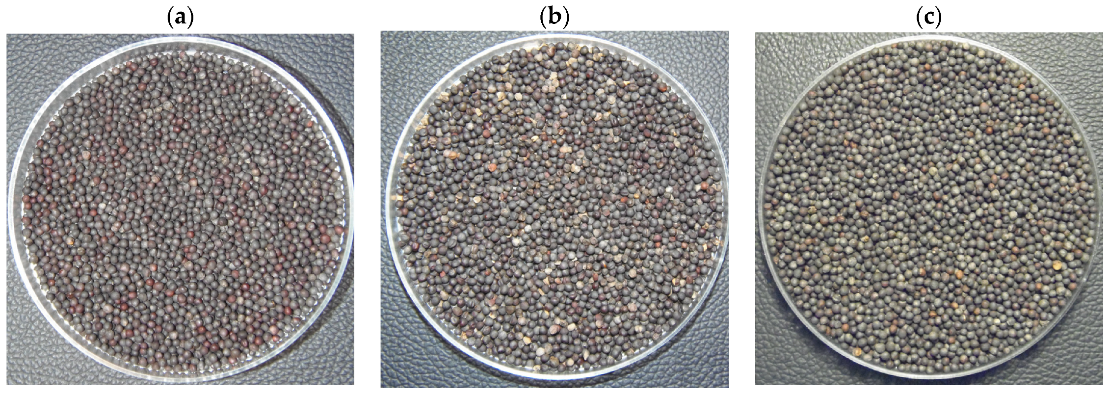 Sensors 23 02486 g001