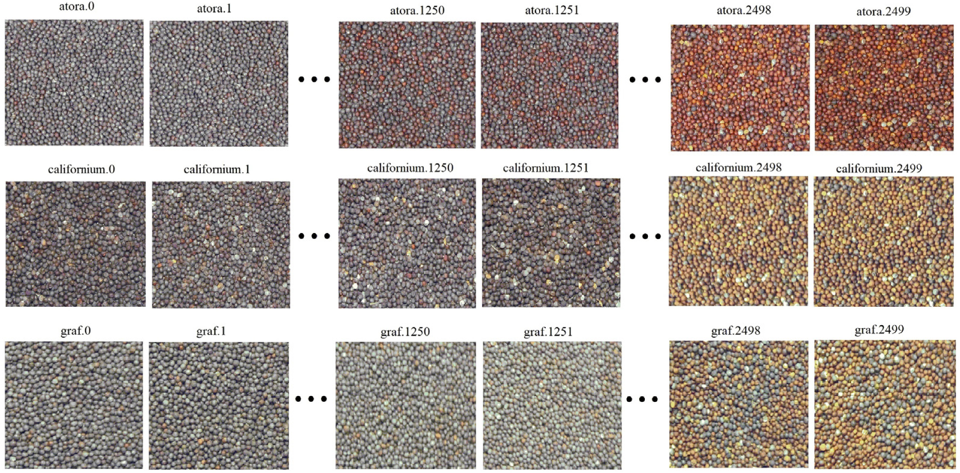 Sensors 23 02486 g002