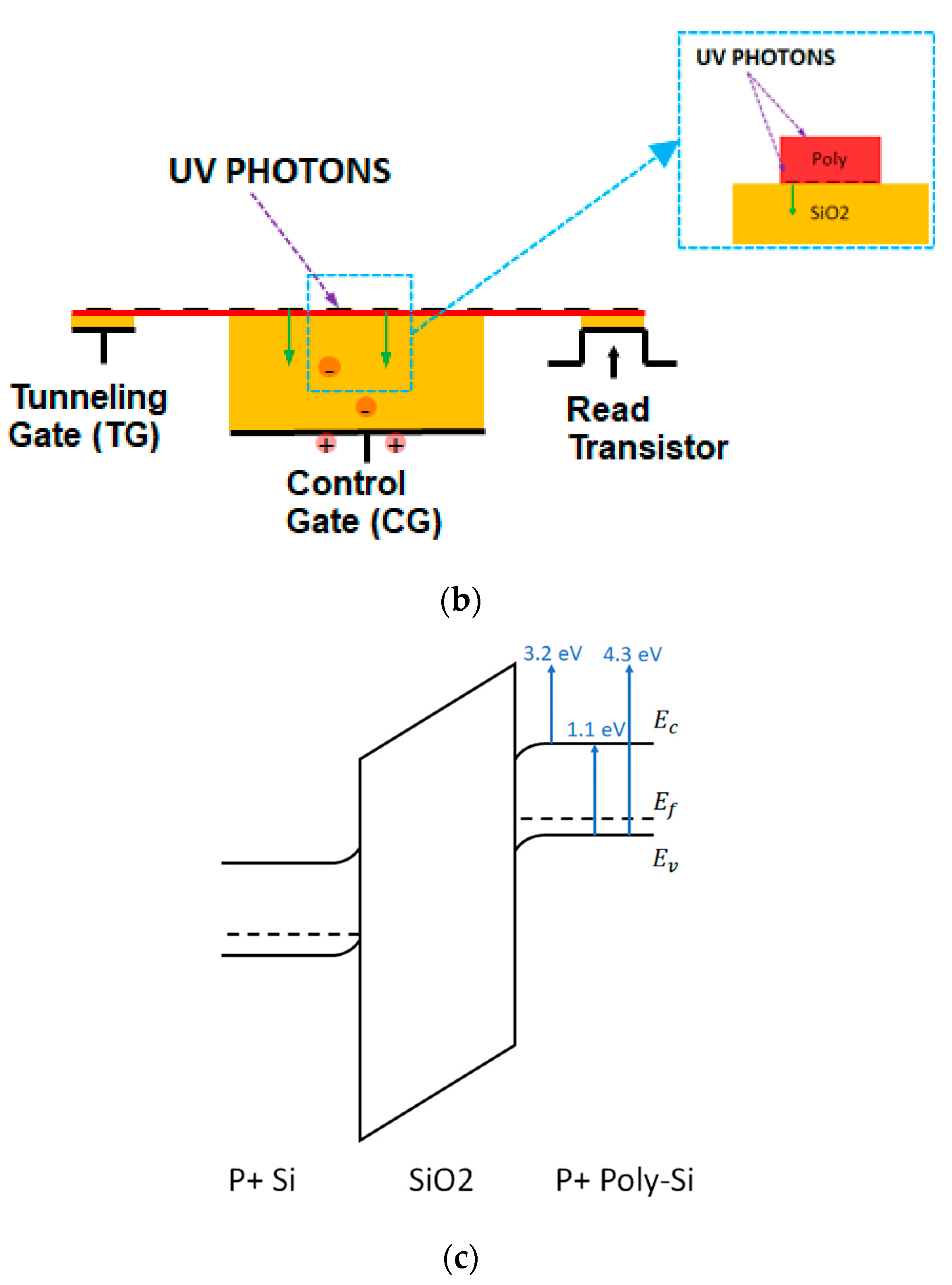 Sensors 23 02509 g002b