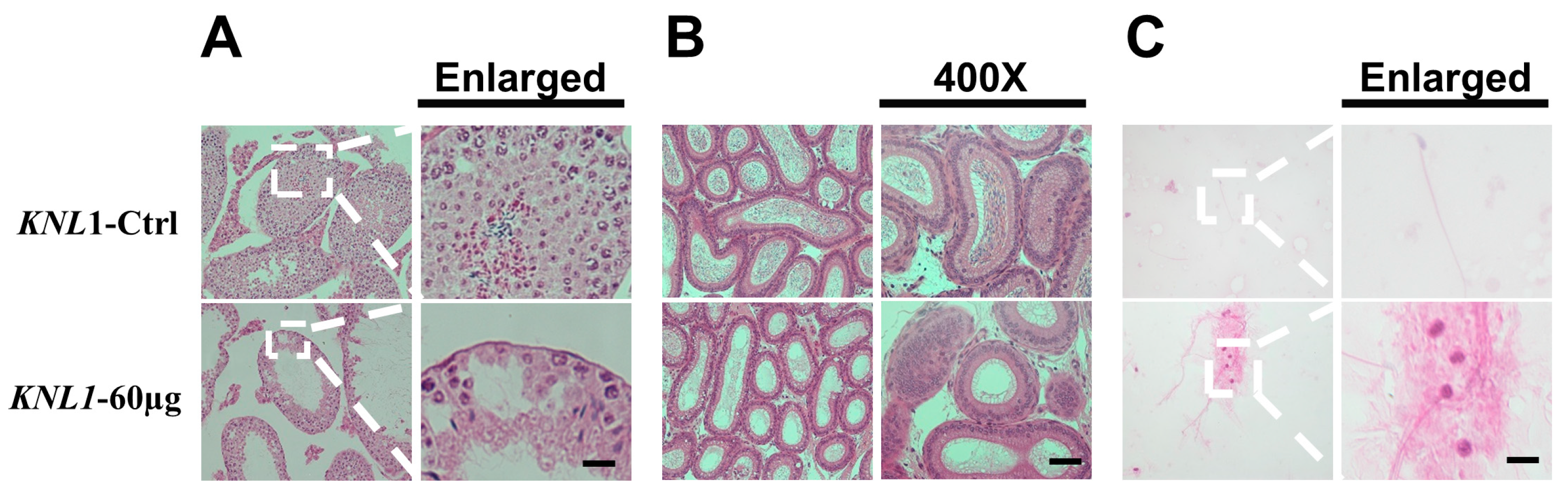 Sensors 23 02571 g003