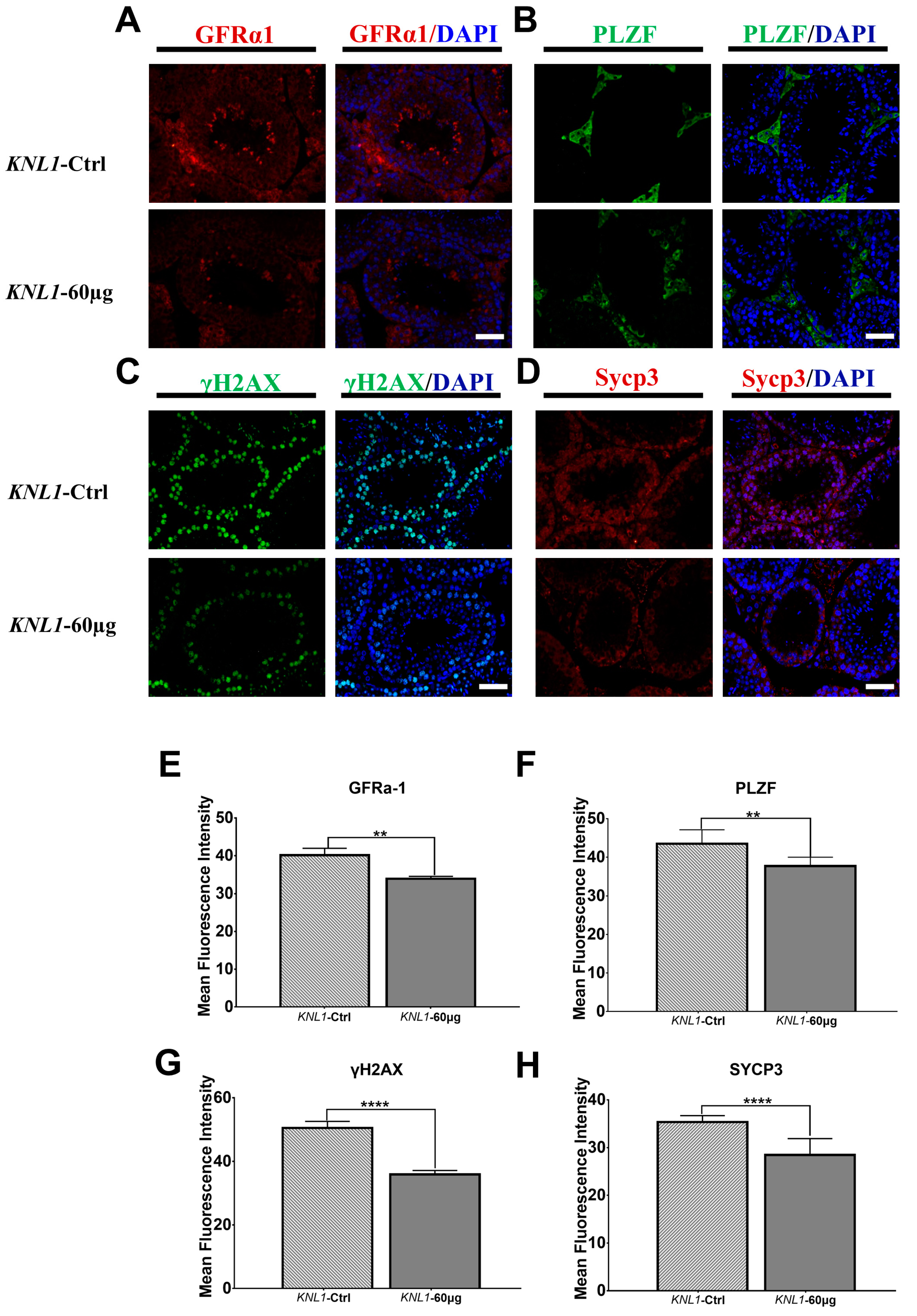 Sensors 23 02571 g007
