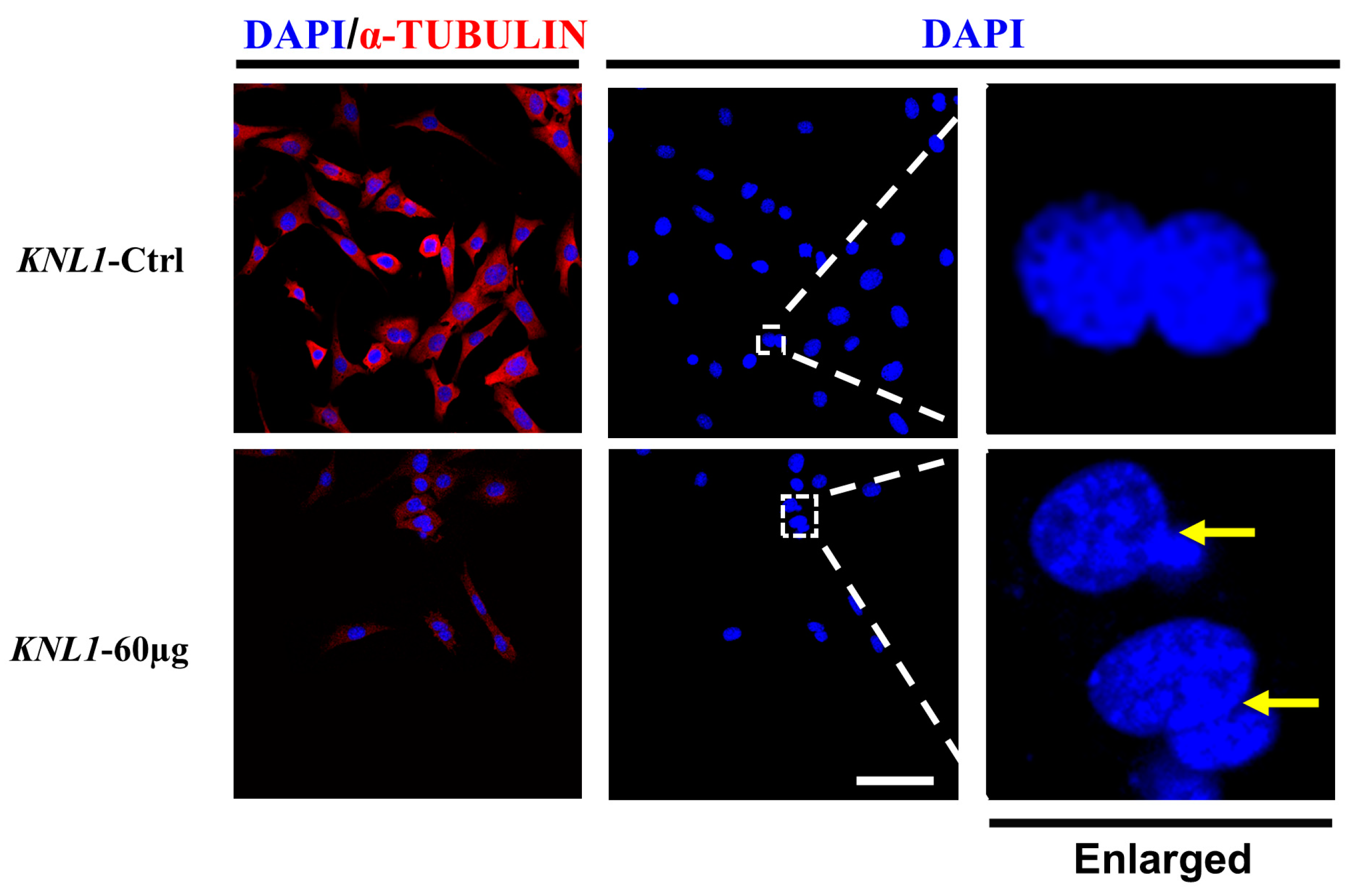 Sensors 23 02571 g008