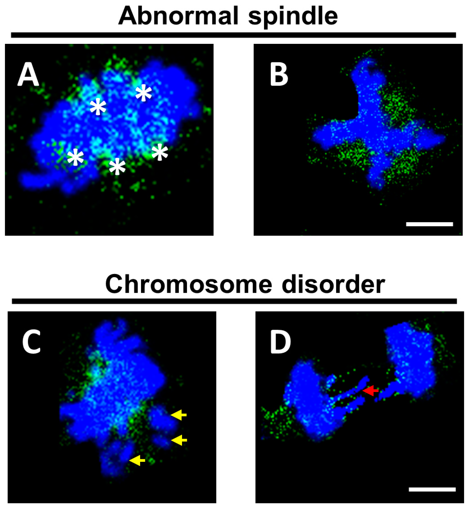 Sensors 23 02571 g009
