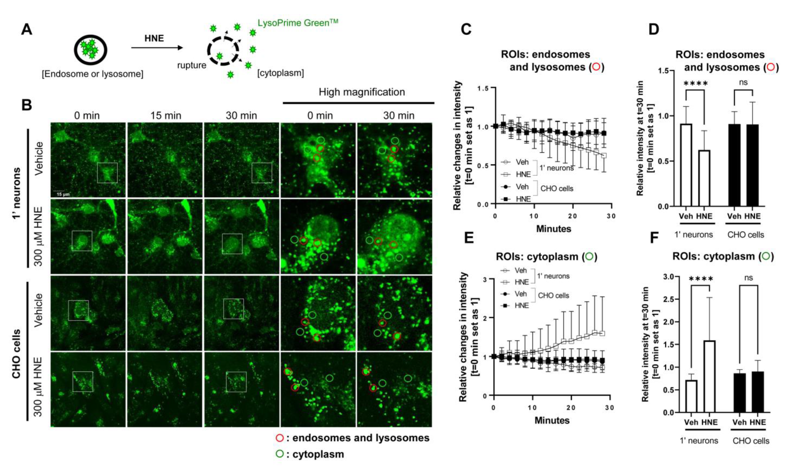 Sensors 23 02651 g002