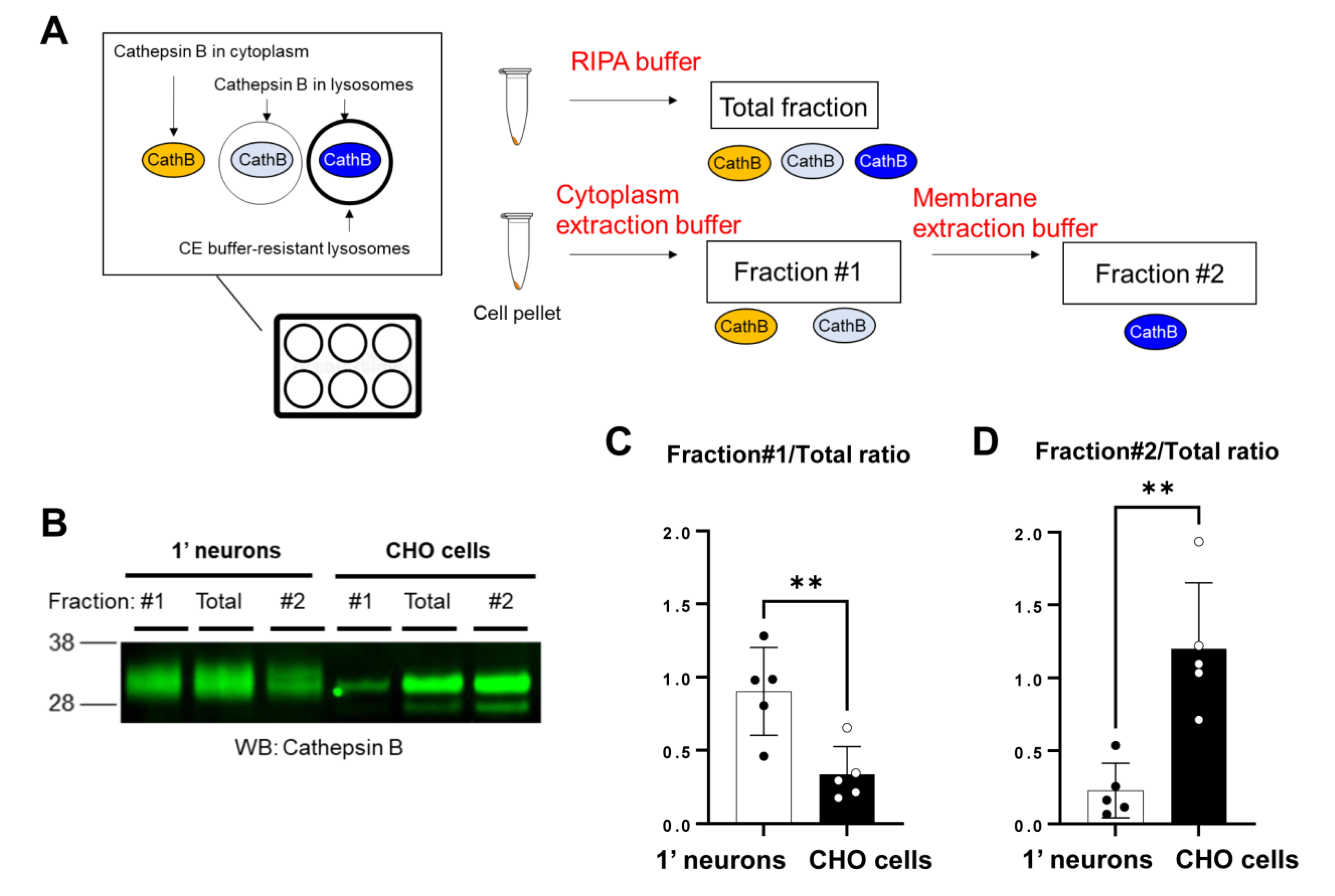 Sensors 23 02651 g003