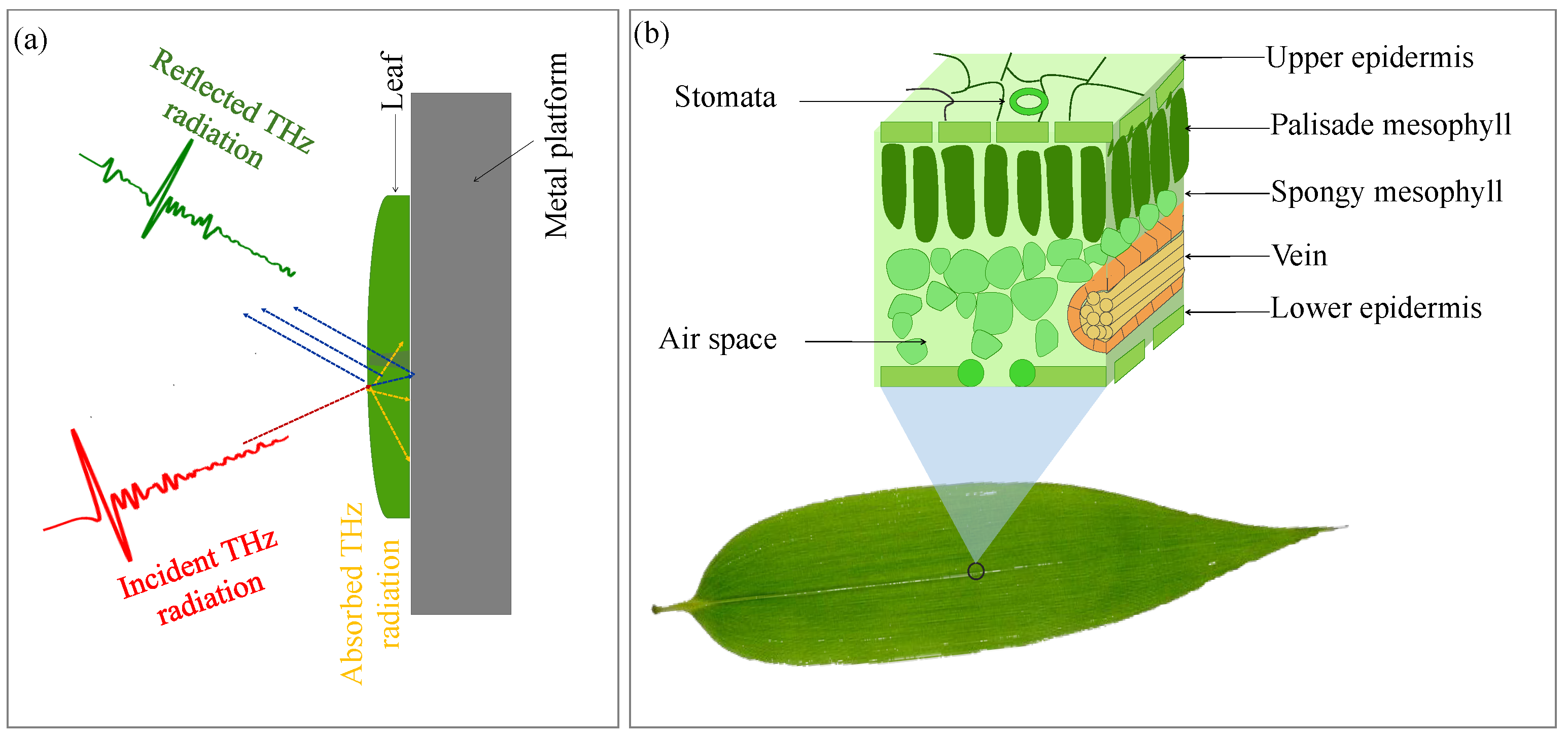 Sensors 23 02721 g002
