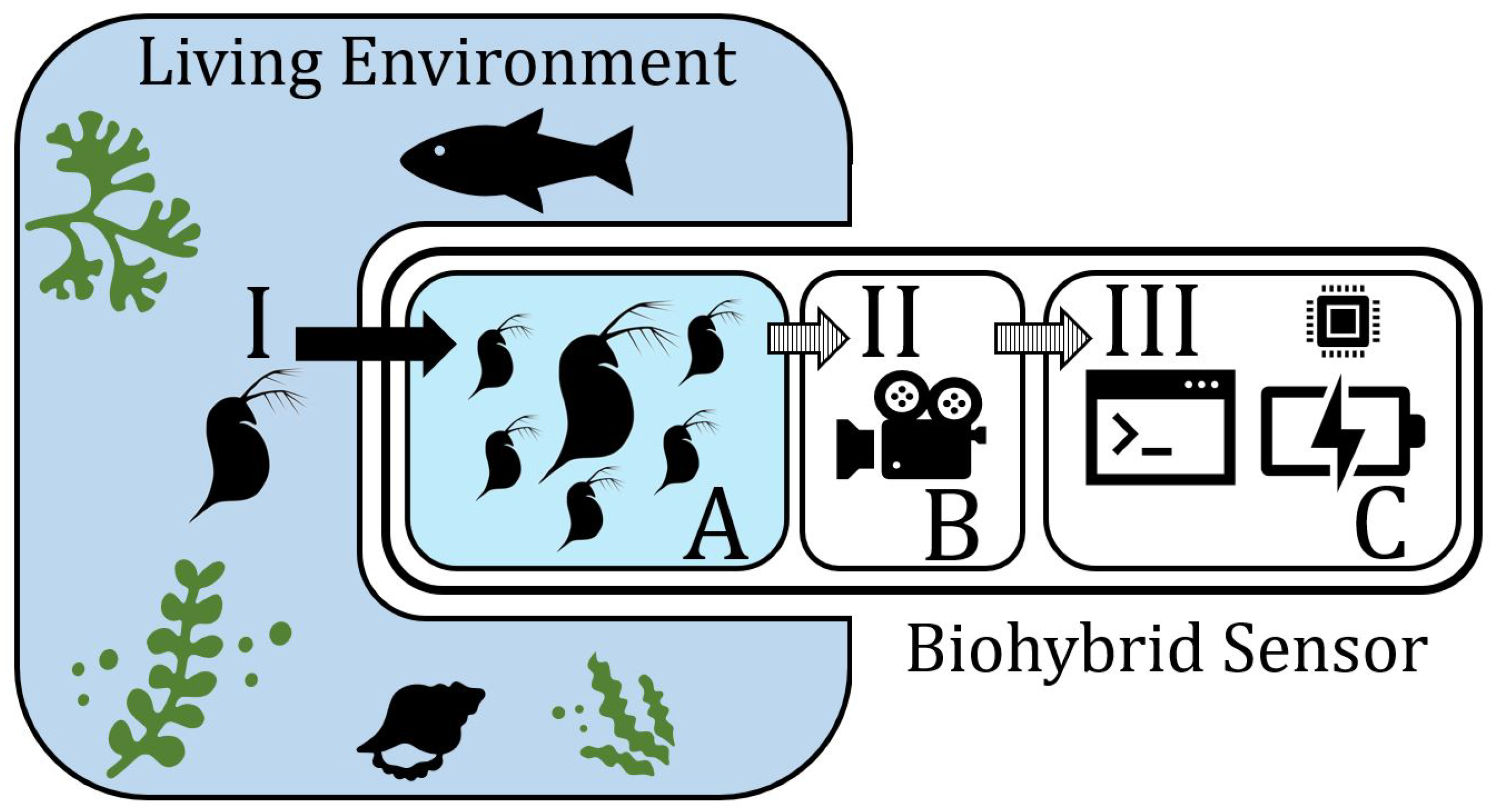 Sensors 23 02722 g001 Sensors 23 02722 g001