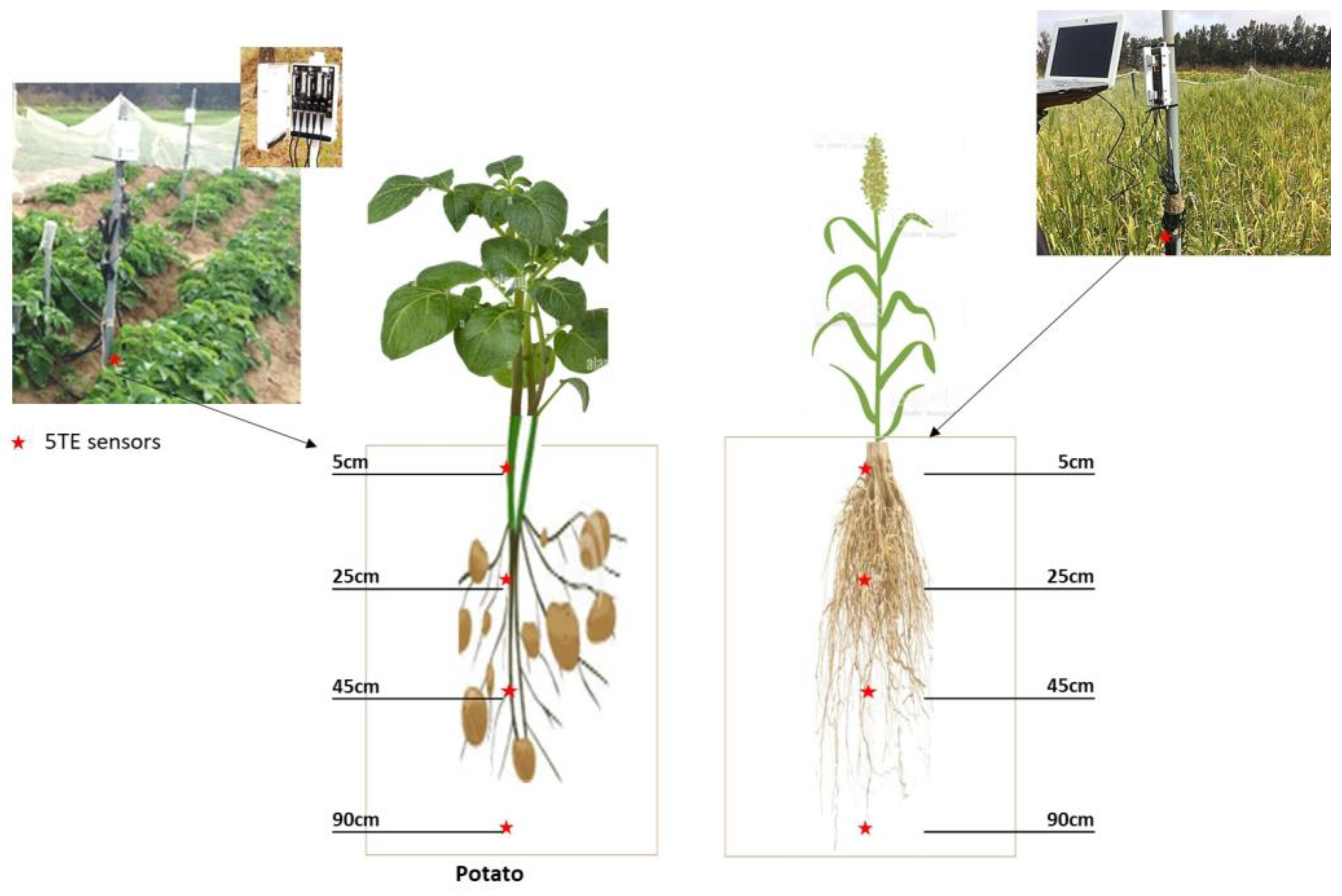 Sensors 23 02823 g002