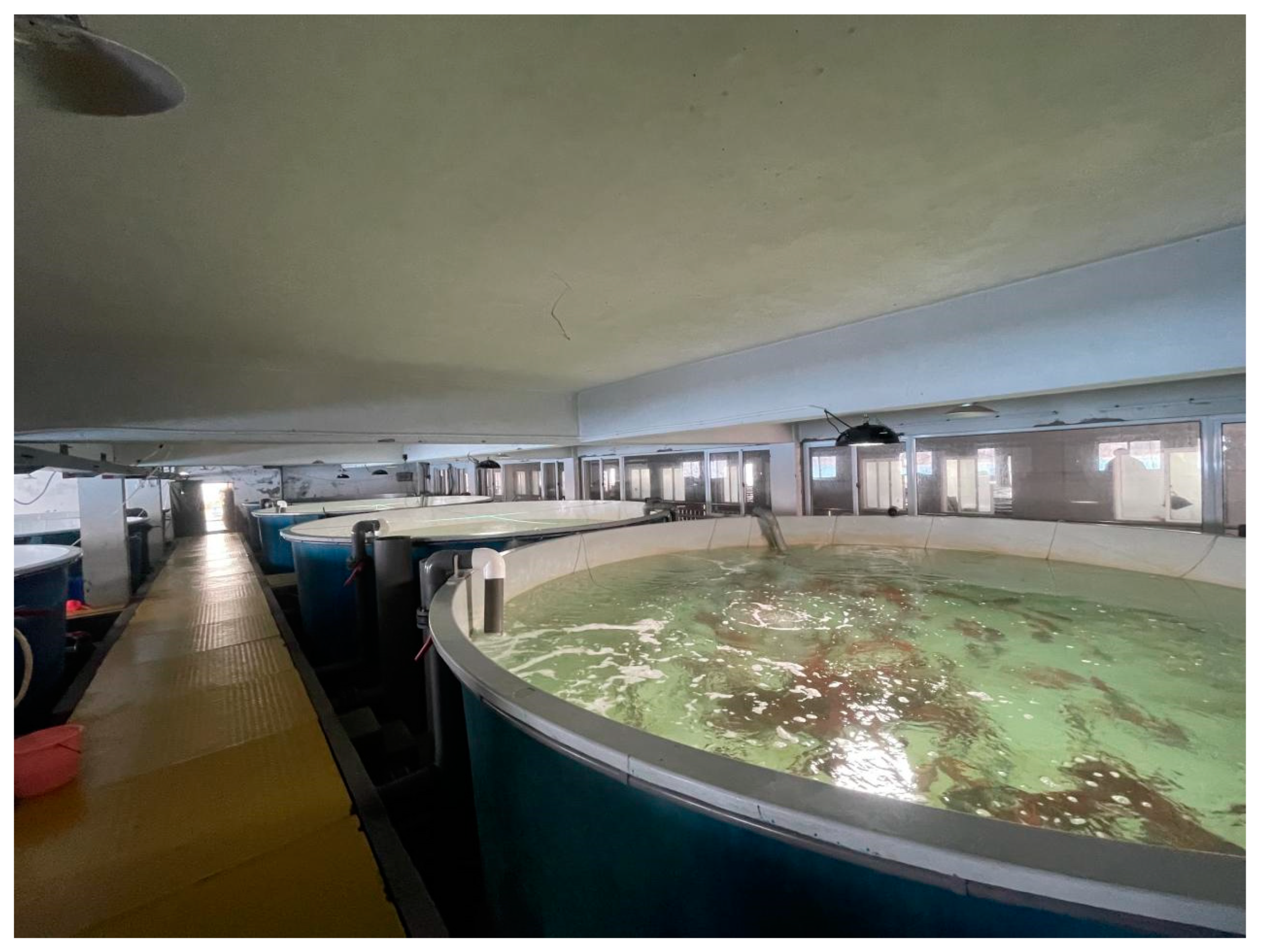 Sensors 23 02835 g001