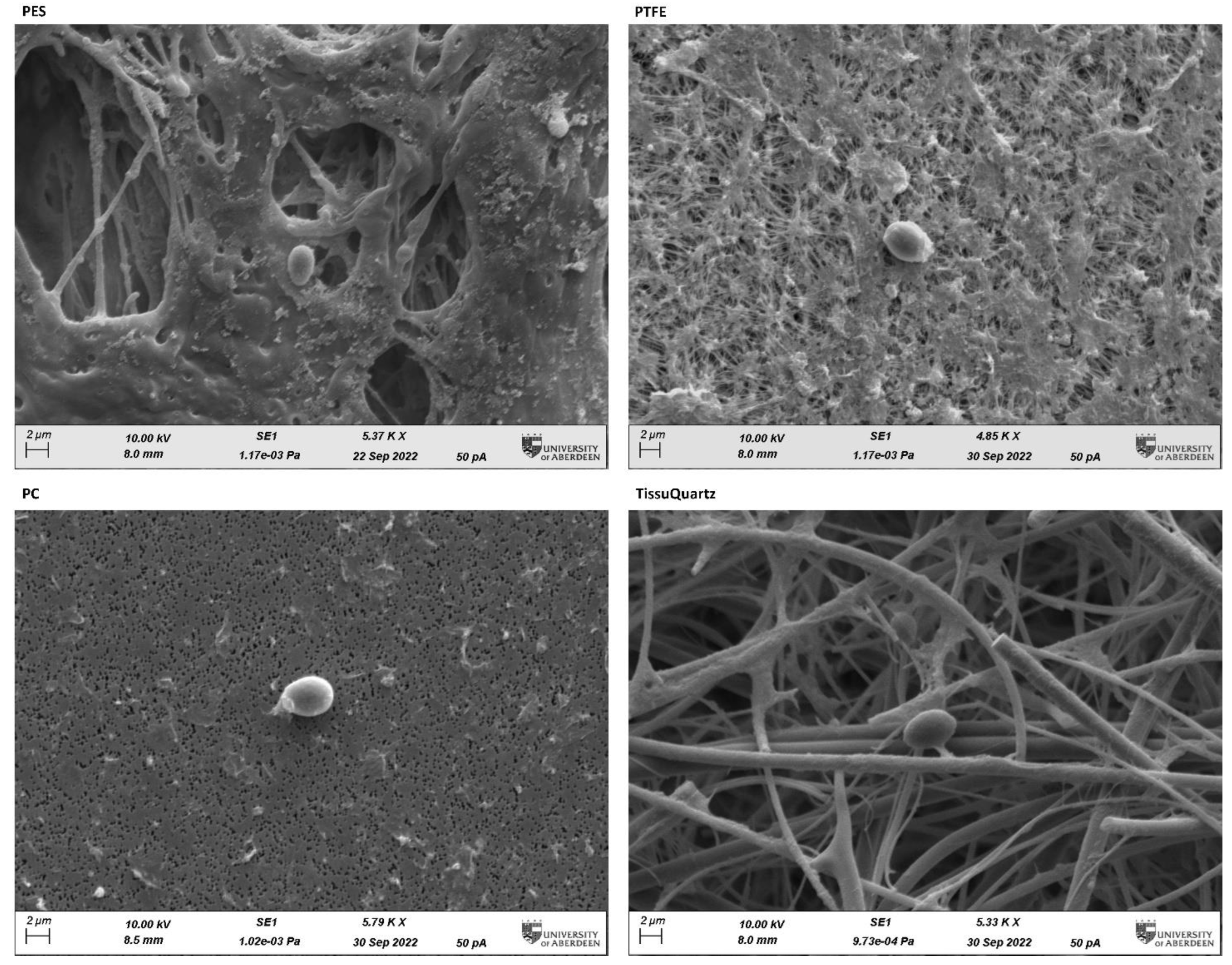 Sensors 23 02836 g006 Sensors 23 02836 g006