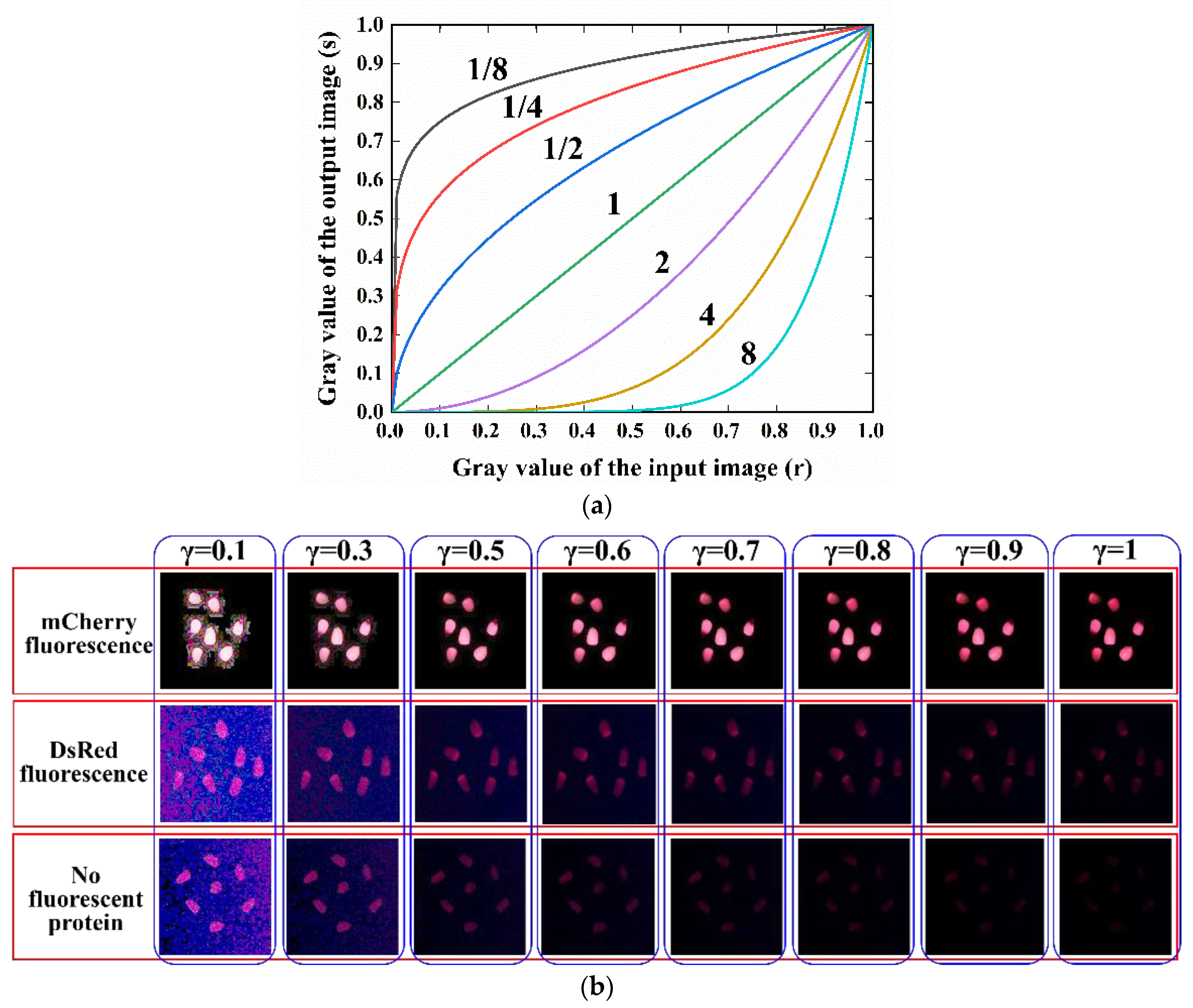 Sensors 23 02840 g007