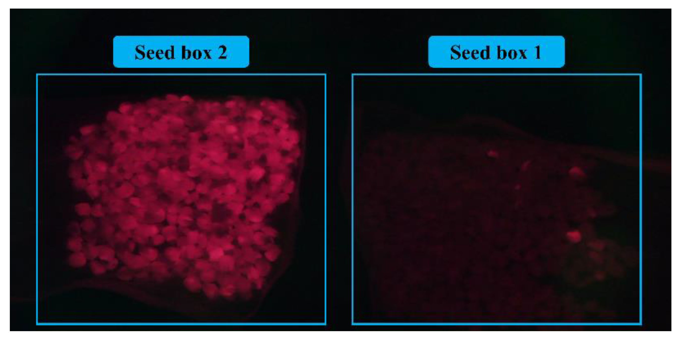Sensors 23 02840 g015