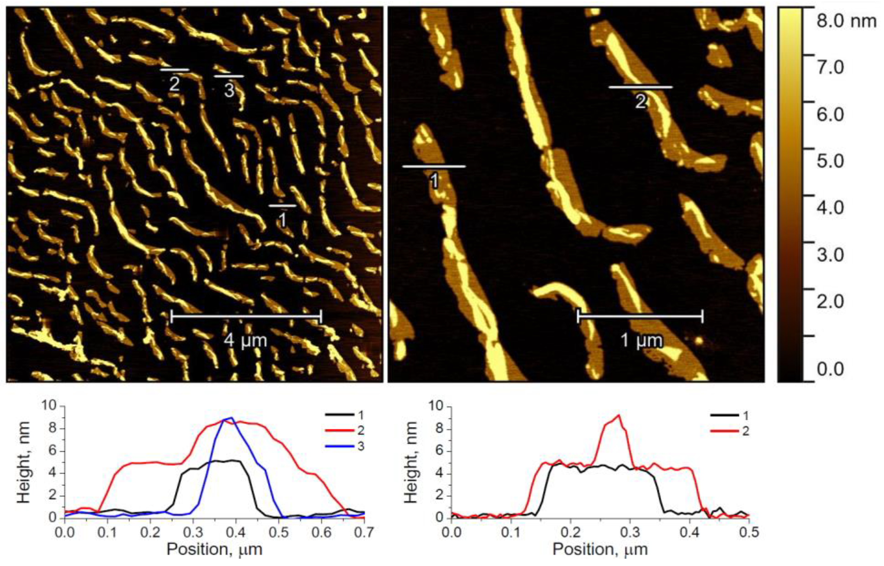 Sensors 23 02978 g006