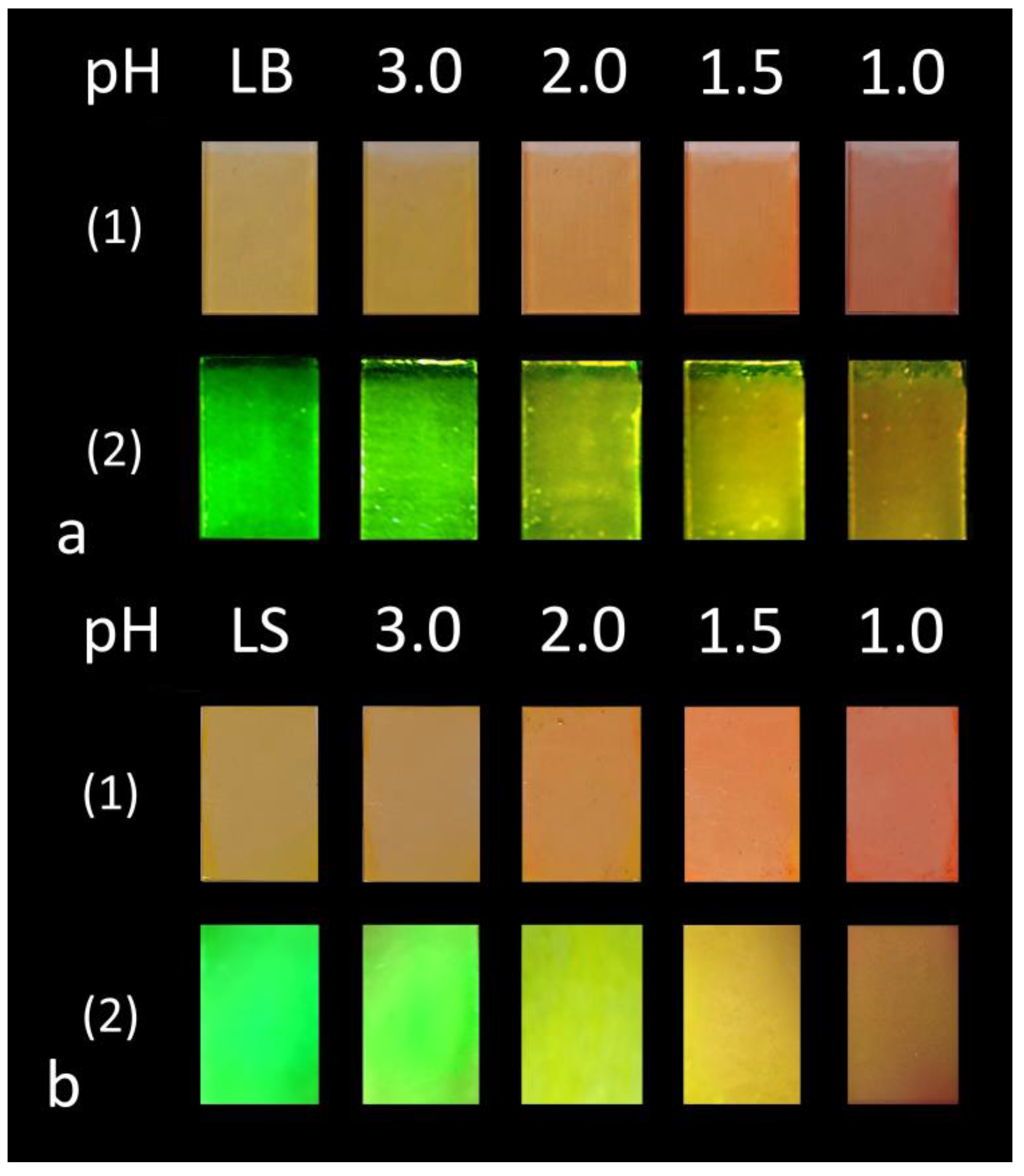 Sensors 23 02978 g009