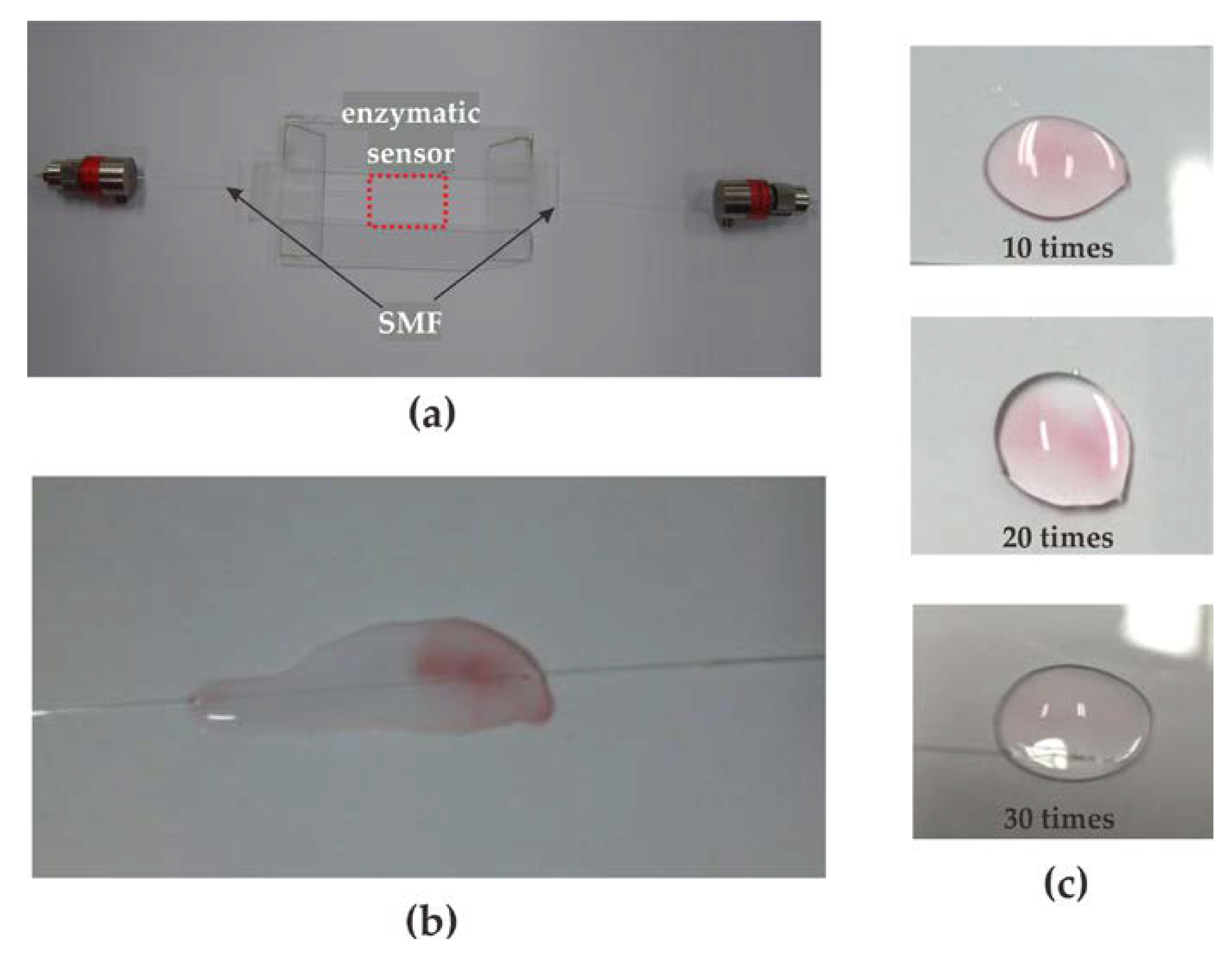 Sensors 23 02990 g004
