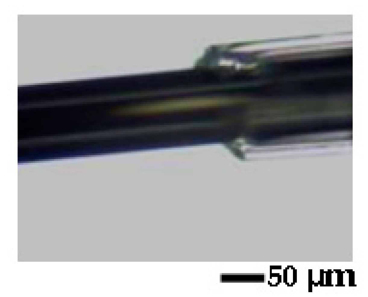 Sensors 23 03079 g001 Sensors 23 03079 g001