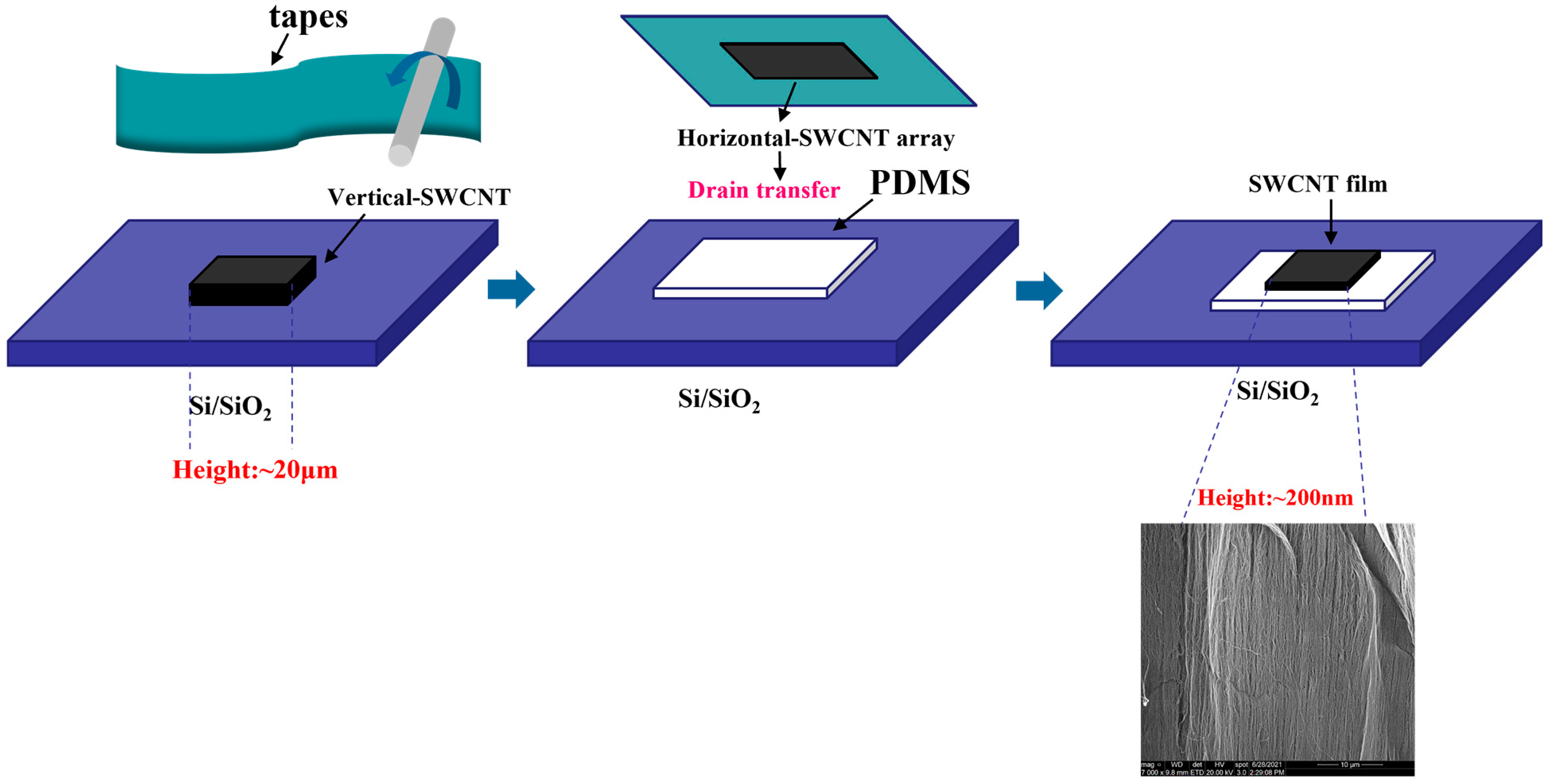 Sensors 23 03104 g001