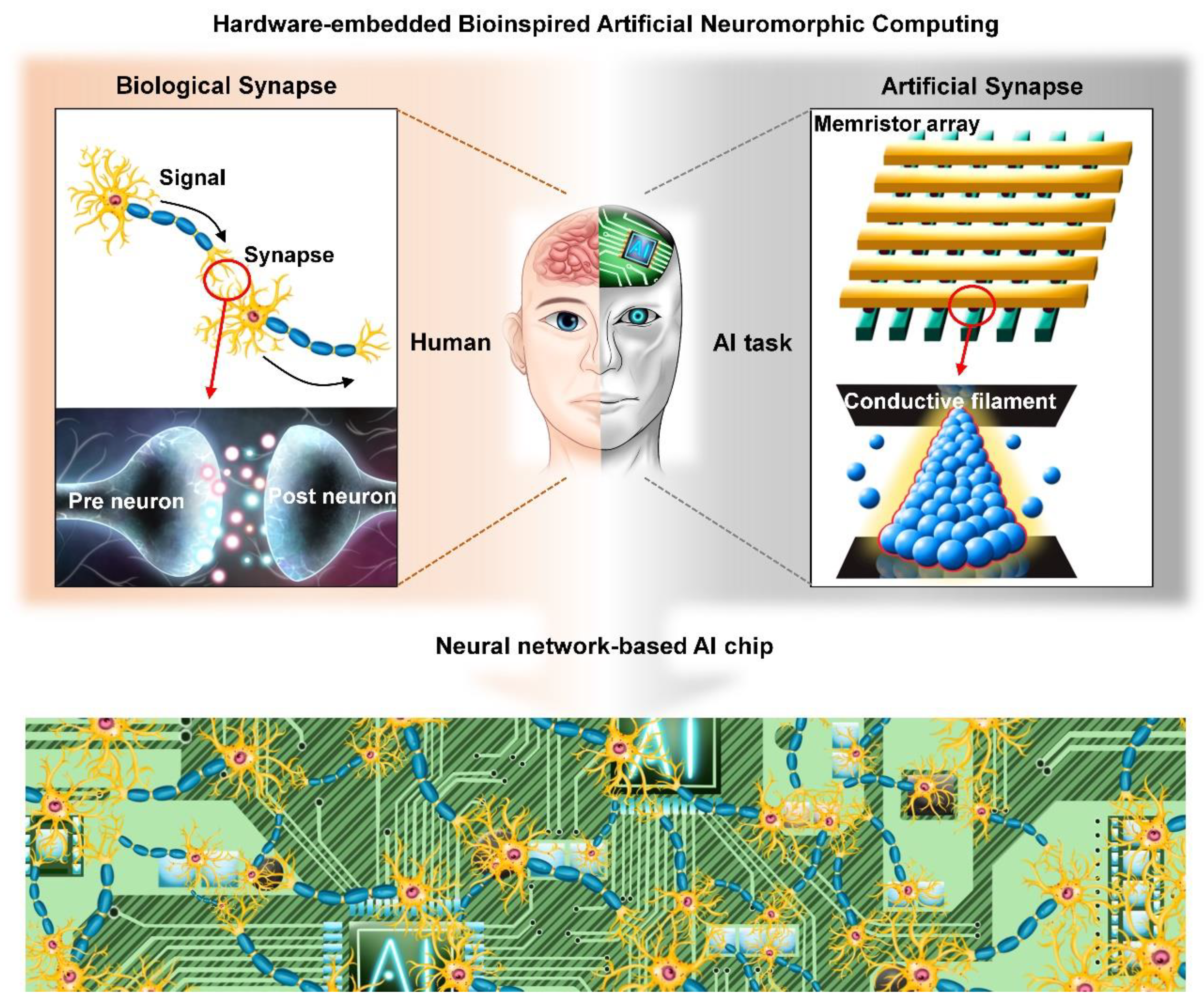 Sensors 23 03118 sch001