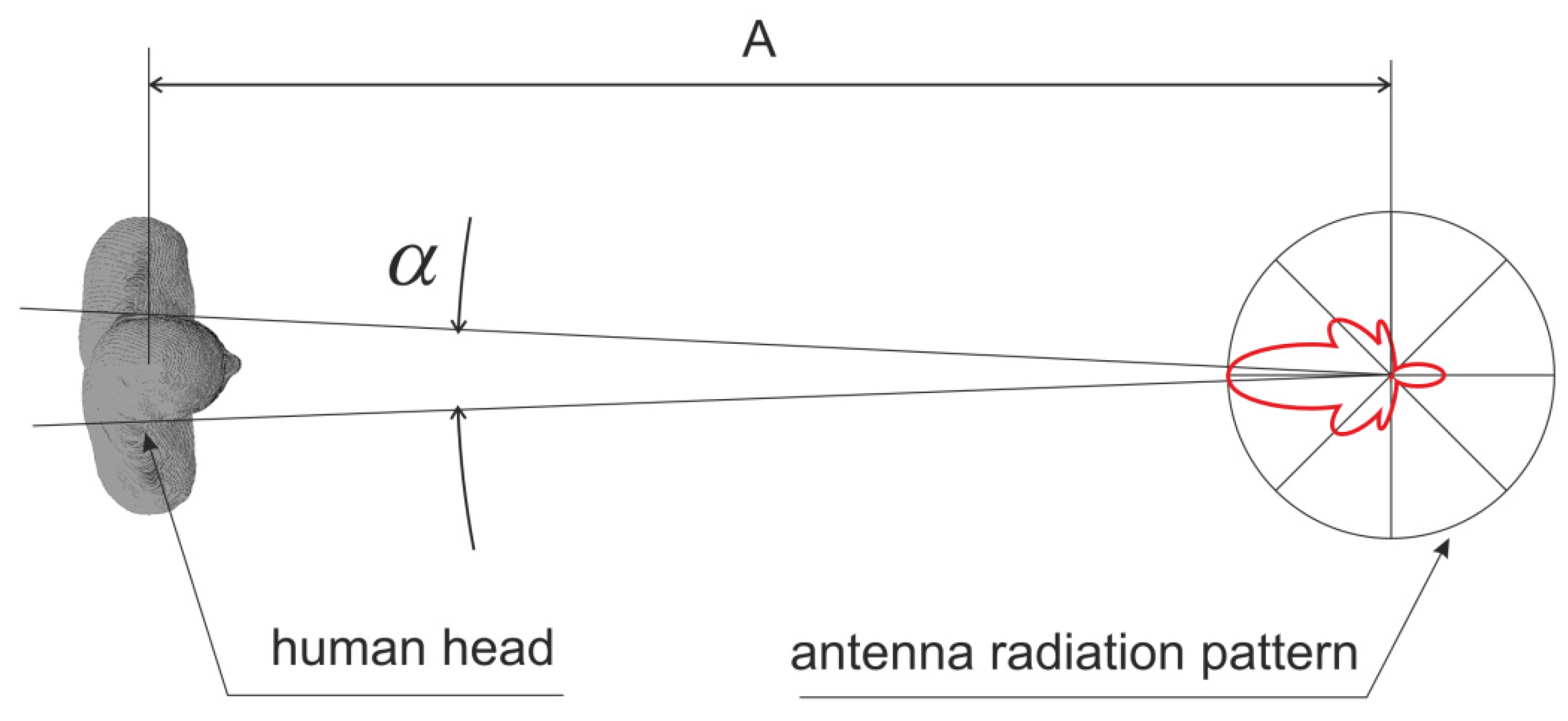 Sensors 23 03131 g002 Sensors 23 03131 g002