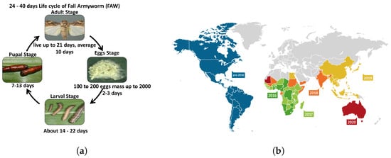 Sensors 23 03147 g001