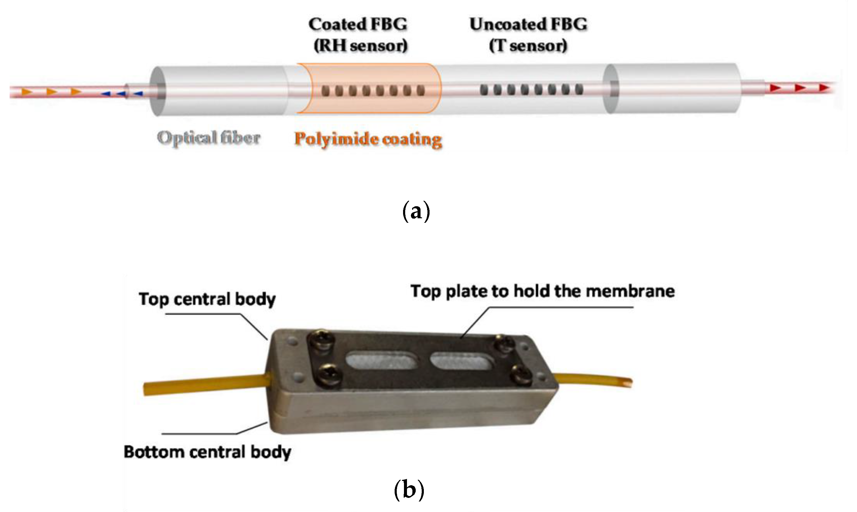 Sensors 23 03187 g001 Sensors 23 03187 g001
