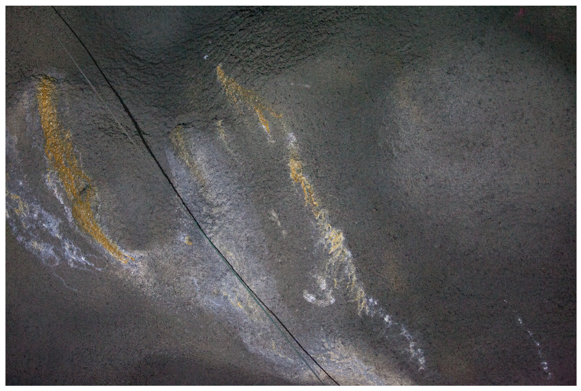 Sensors 23 03189 g005