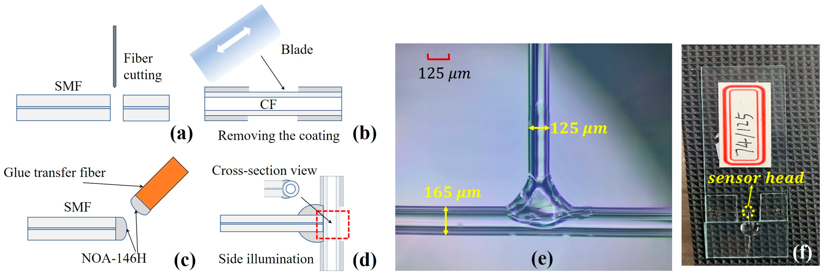 Sensors 23 03198 g002 Sensors 23 03198 g002