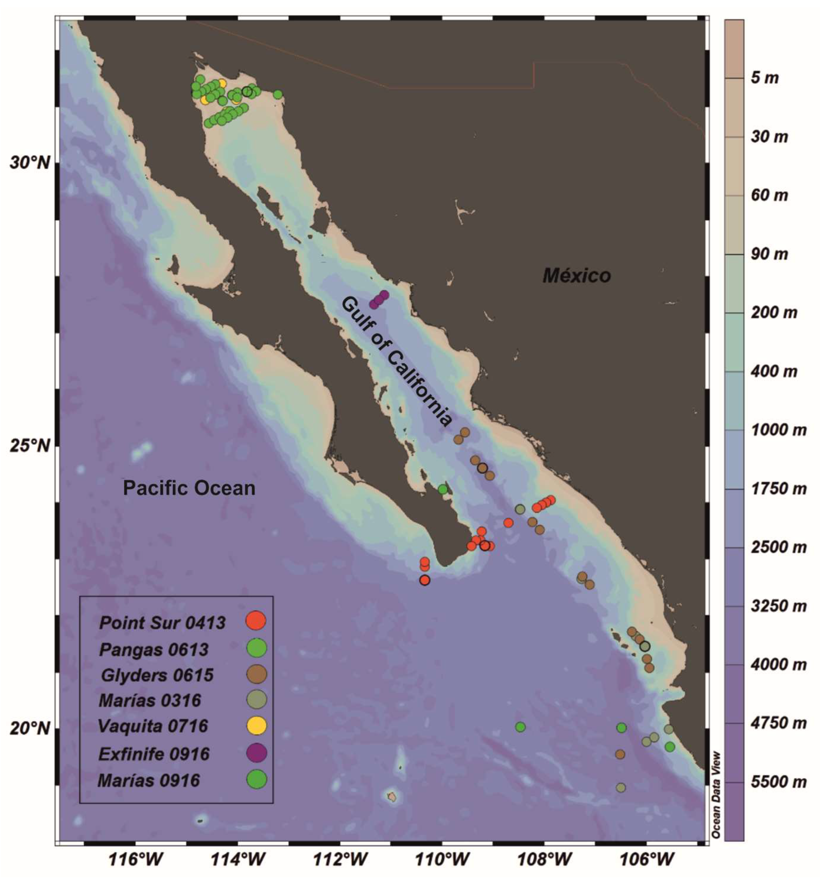 Sensors 23 03199 g001 Sensors 23 03199 g001