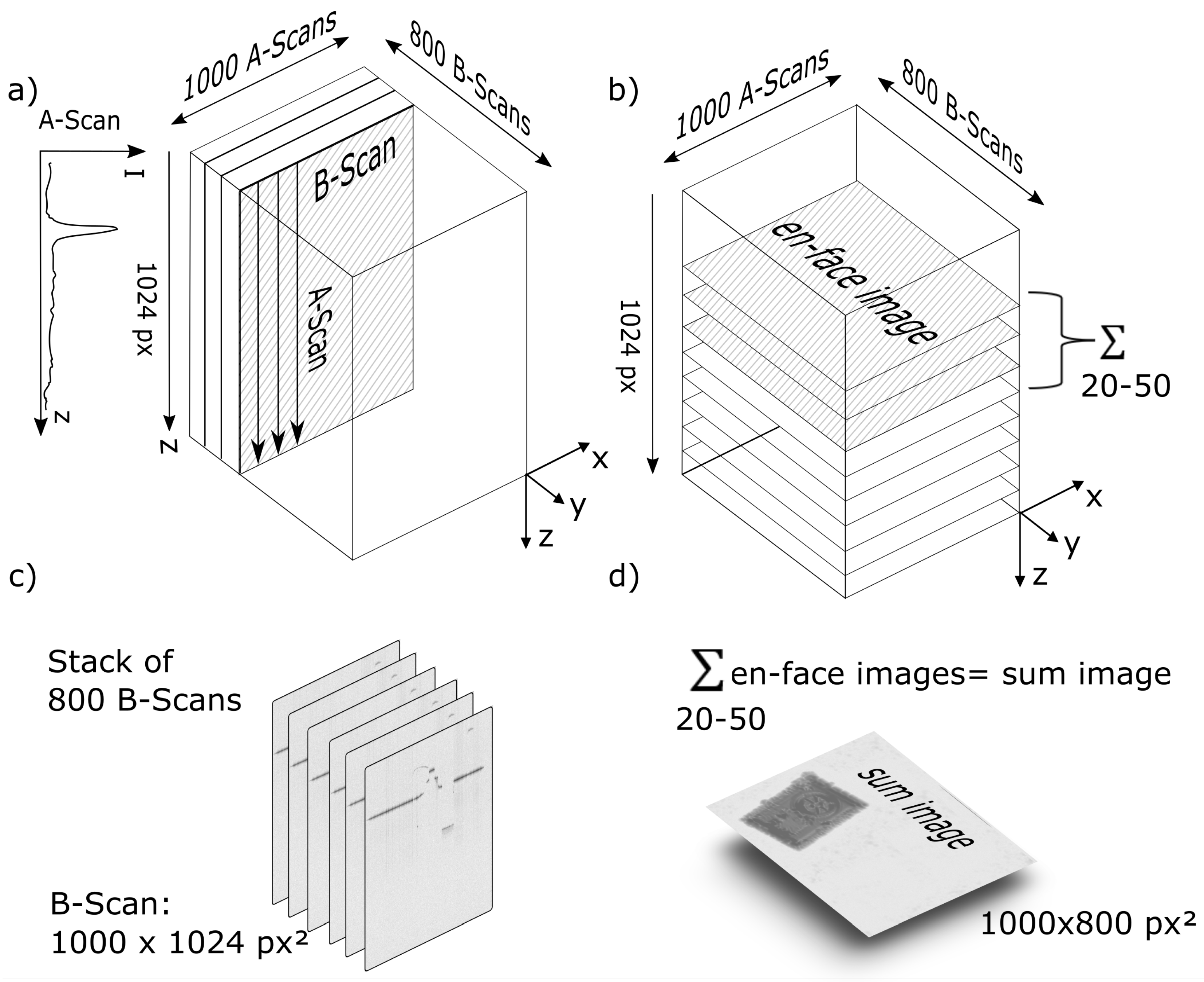 Sensors 23 03242 g005 Sensors 23 03242 g005