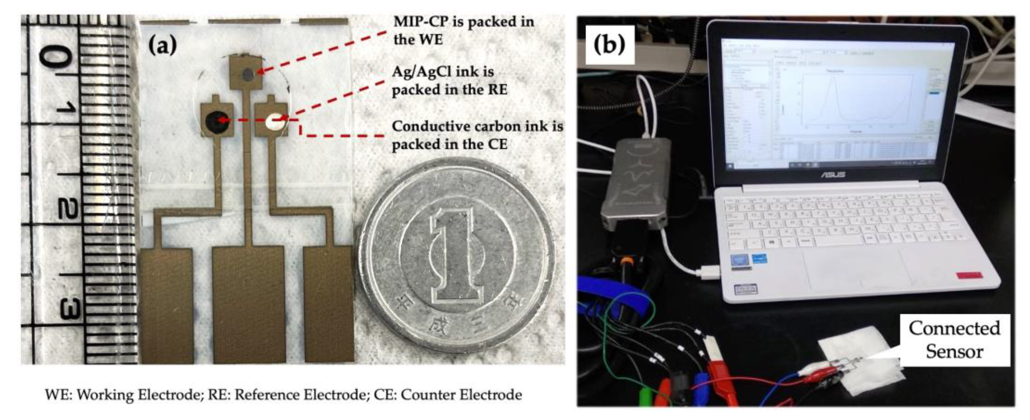 Sensors 23 03271 g003 Sensors 23 03271 g003