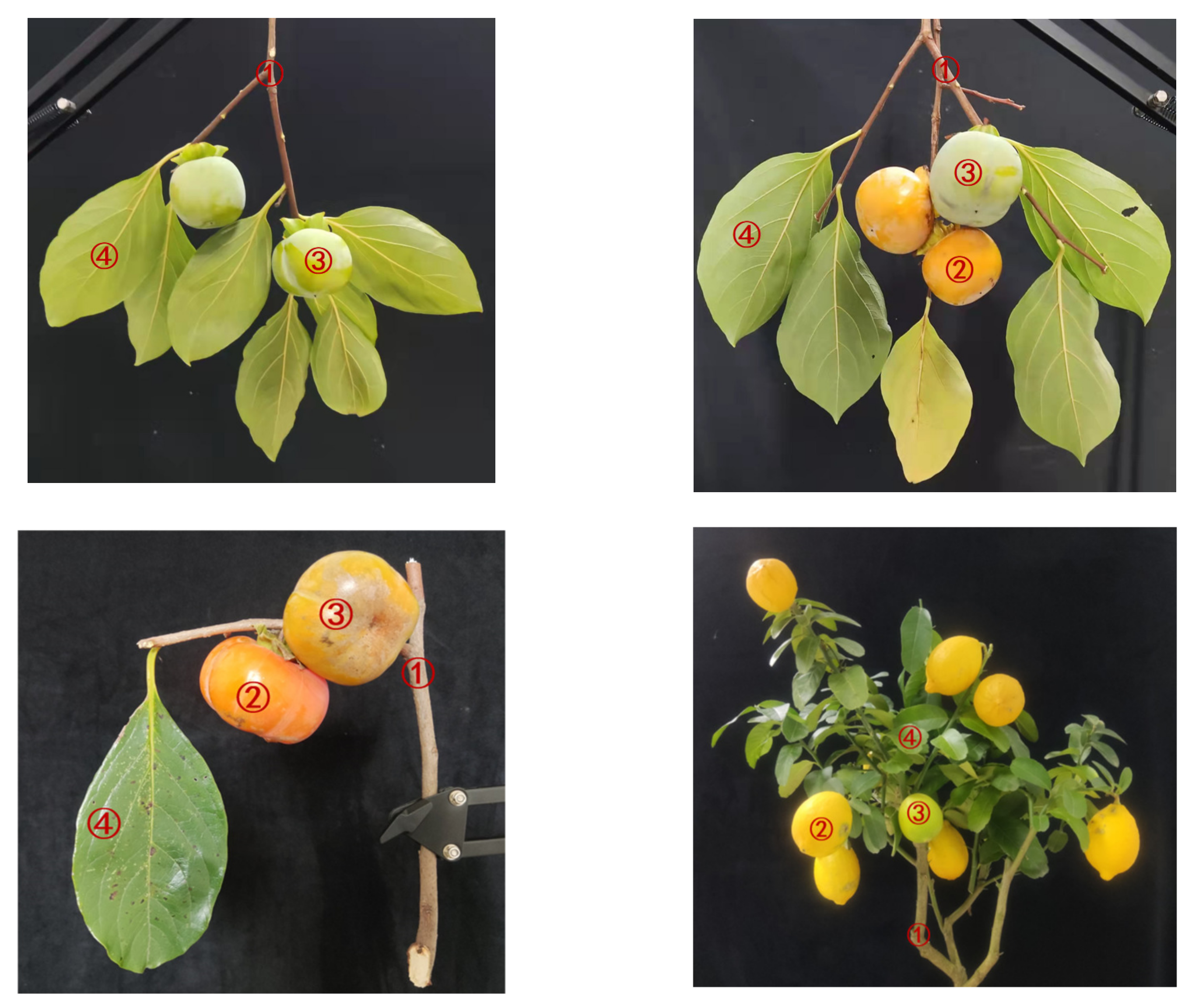 Sensors 23 03286 g002