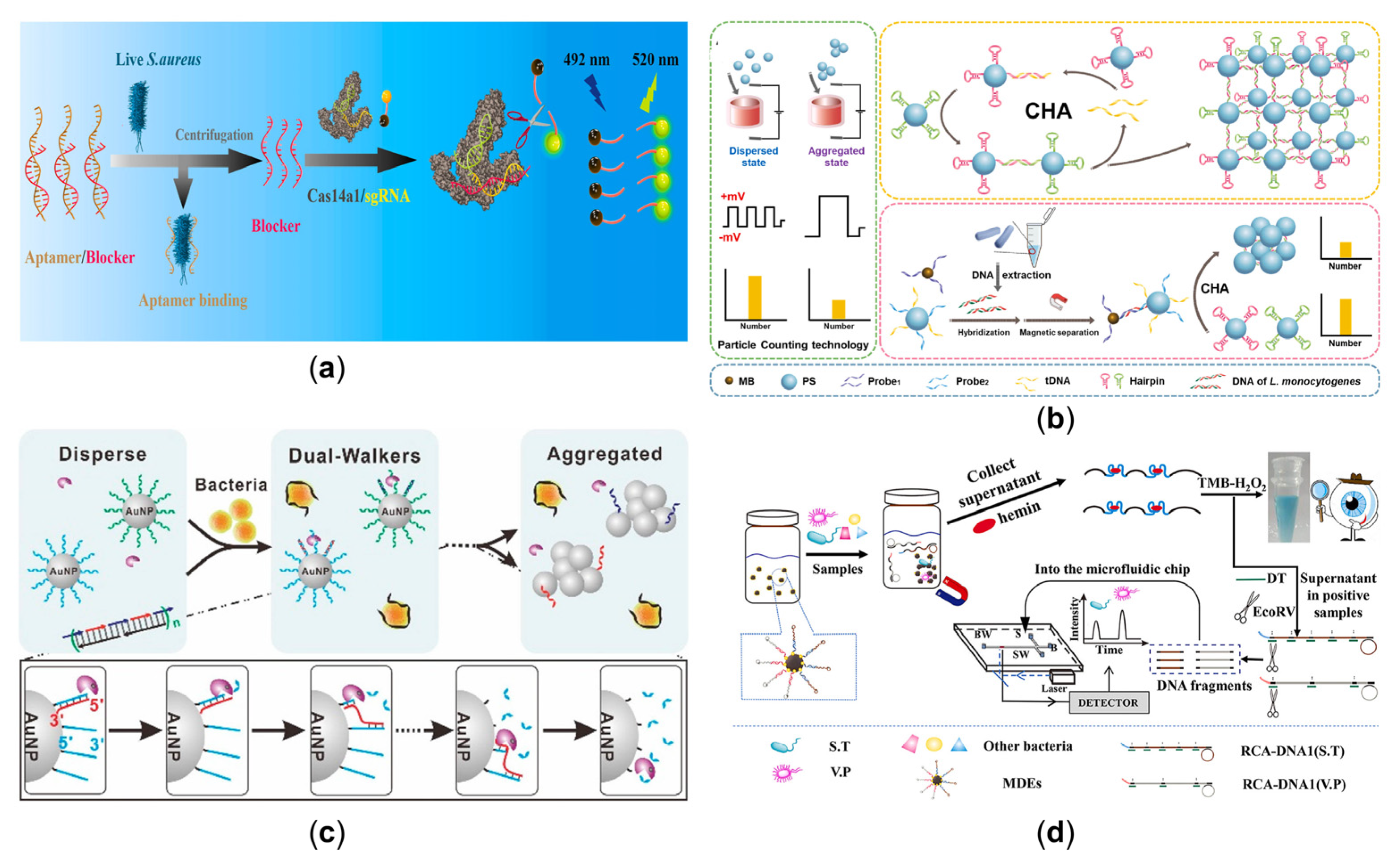 Sensors 23 03313 g005