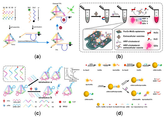 Sensors 23 03313 g006