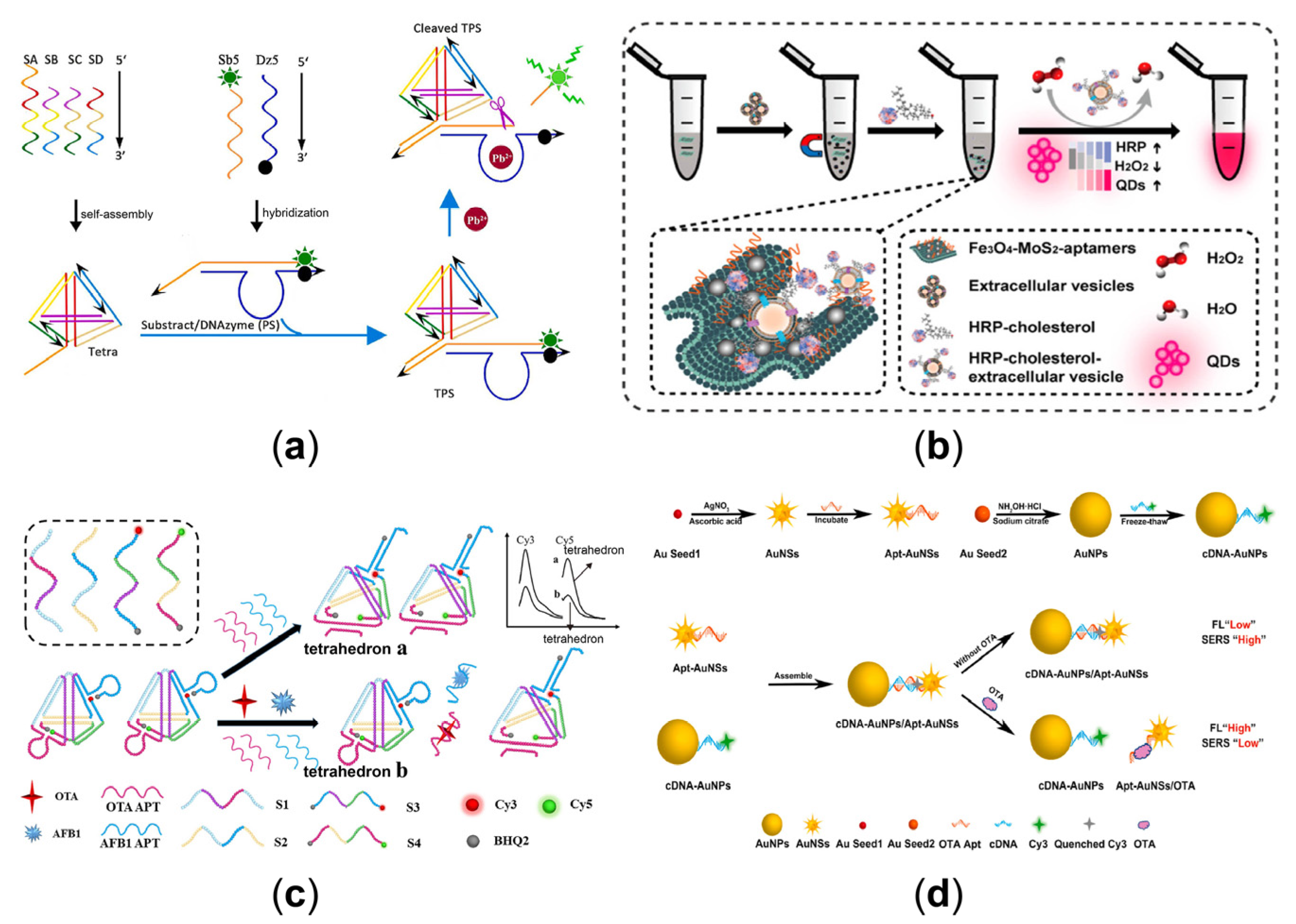 Sensors 23 03313 g006