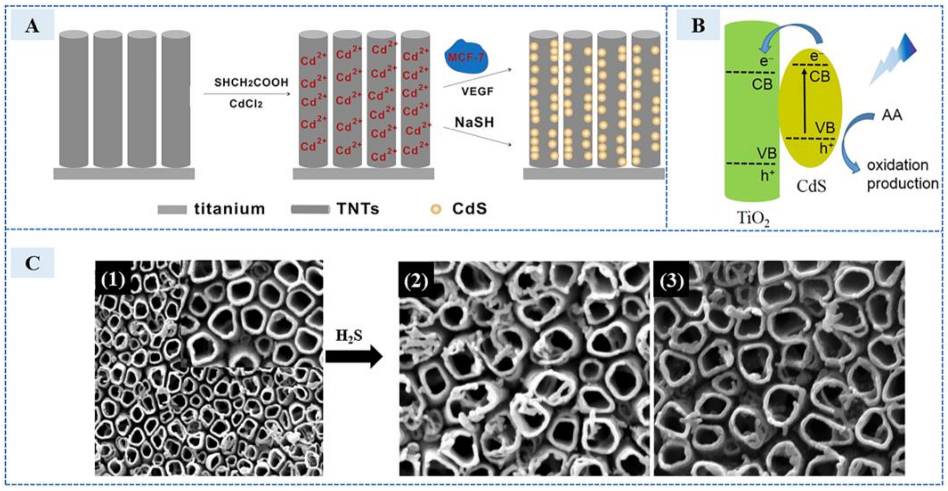 Sensors 23 03316 g006