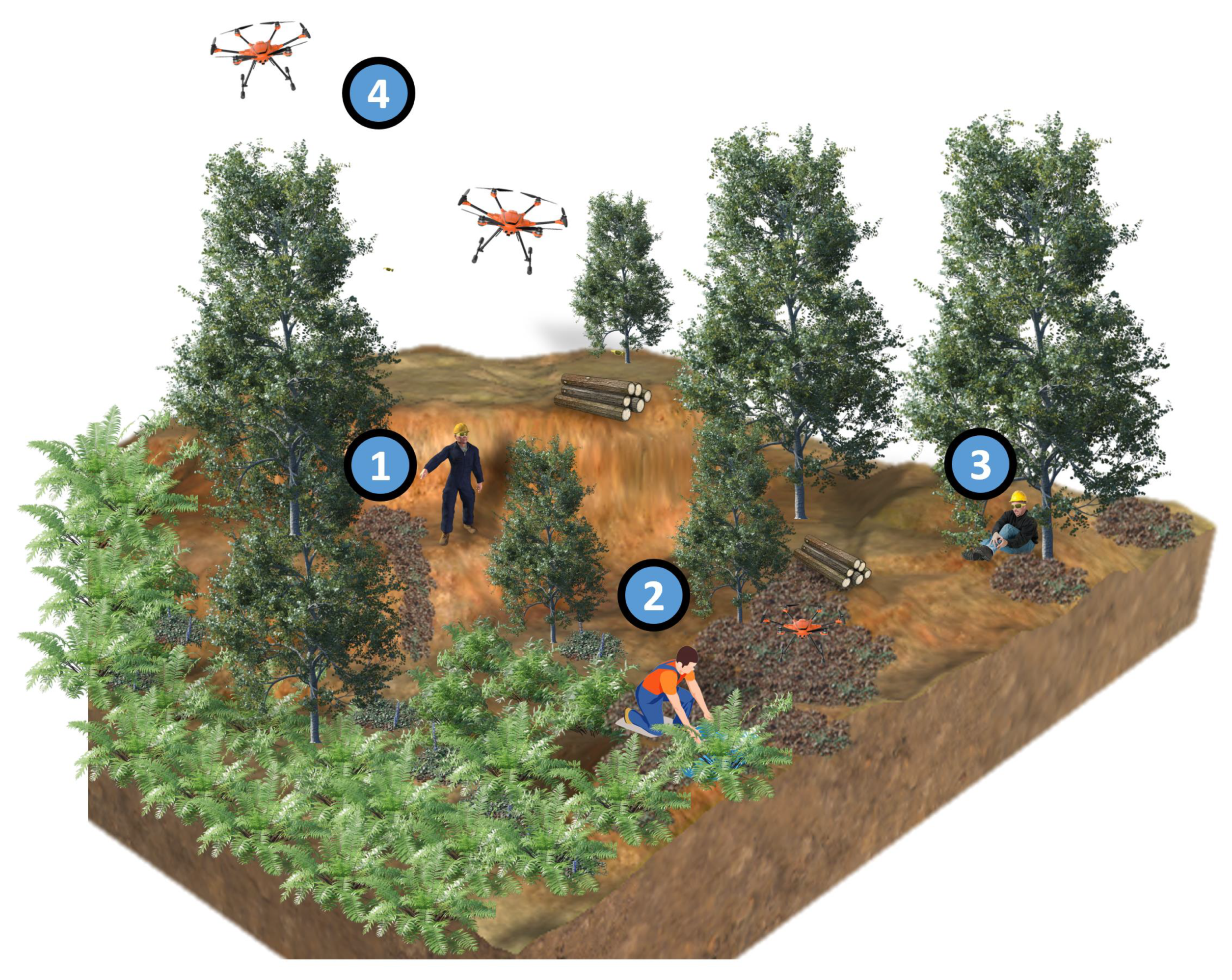 Sensors 23 03388 g002