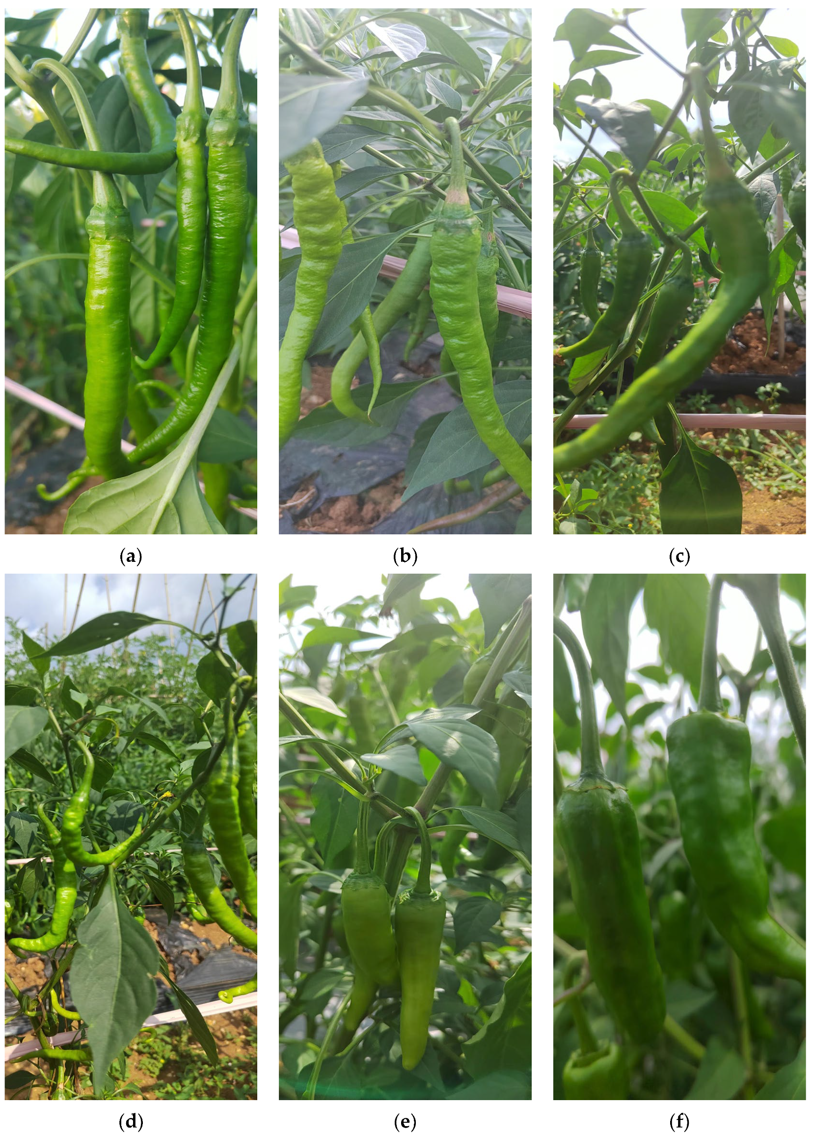 Sensors 23 03408 g008