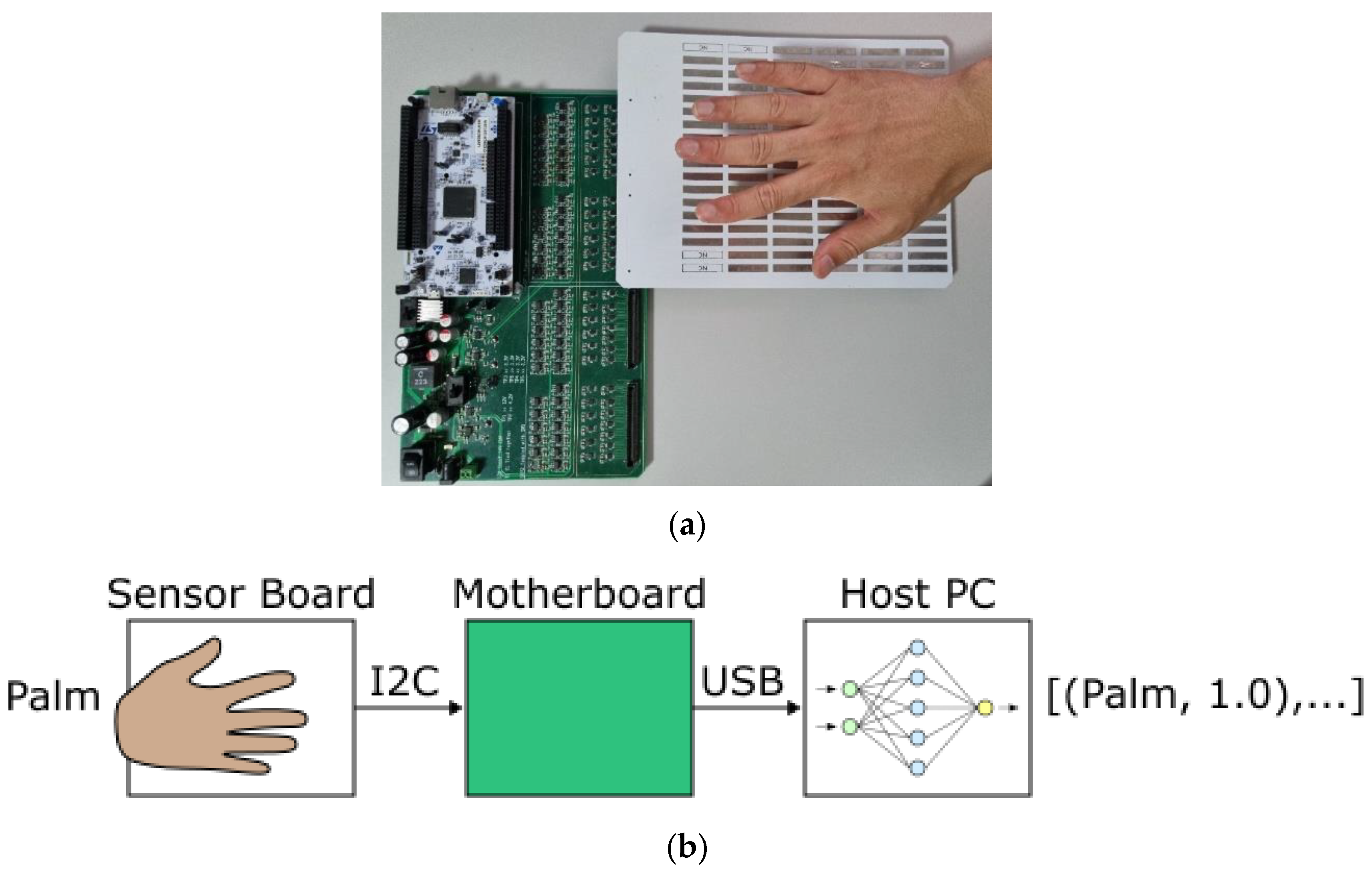 Sensors 23 03419 g001