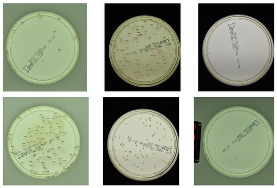 Sensors 23 03447 g0a3