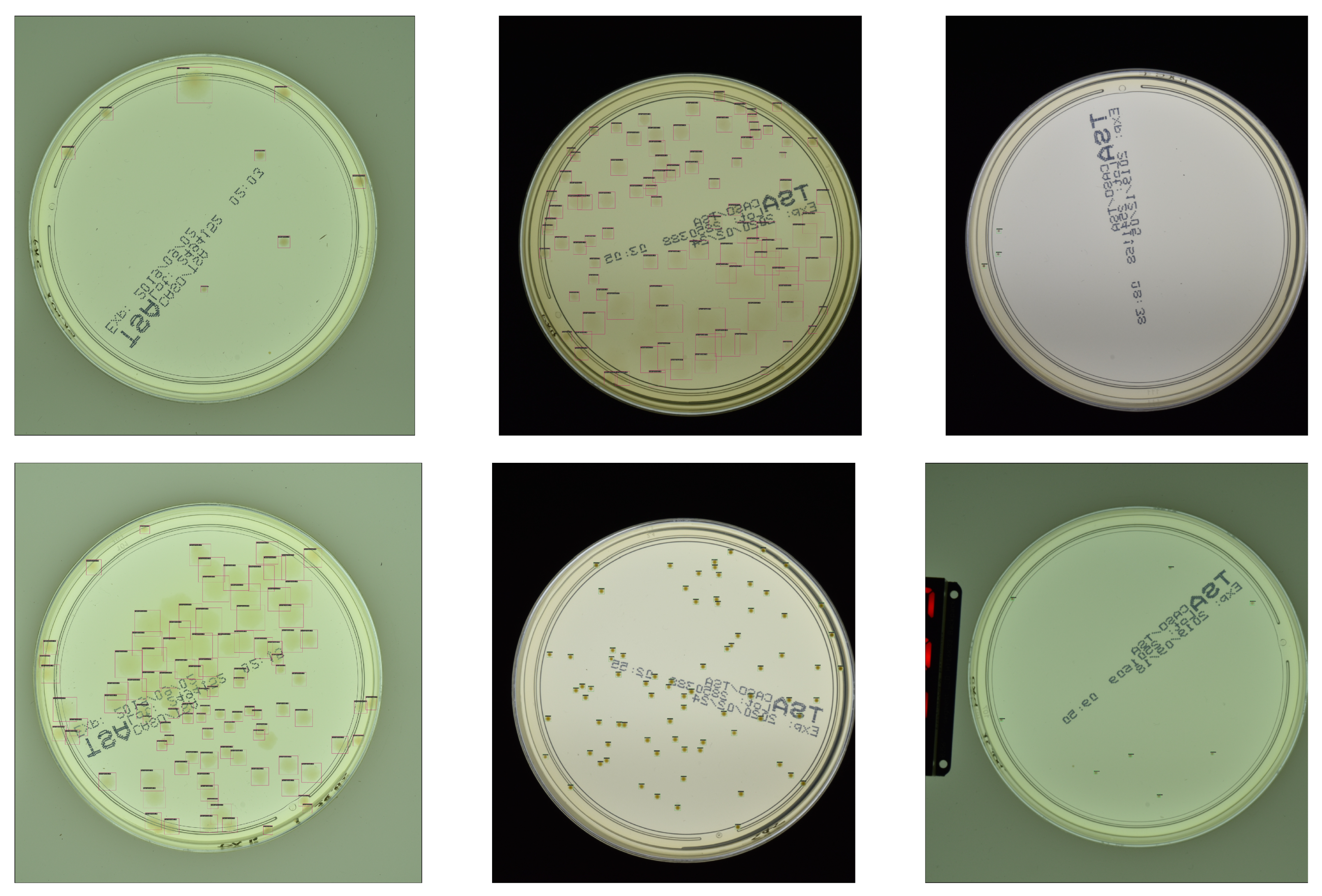 Sensors 23 03447 g0a3 Sensors 23 03447 g0a3