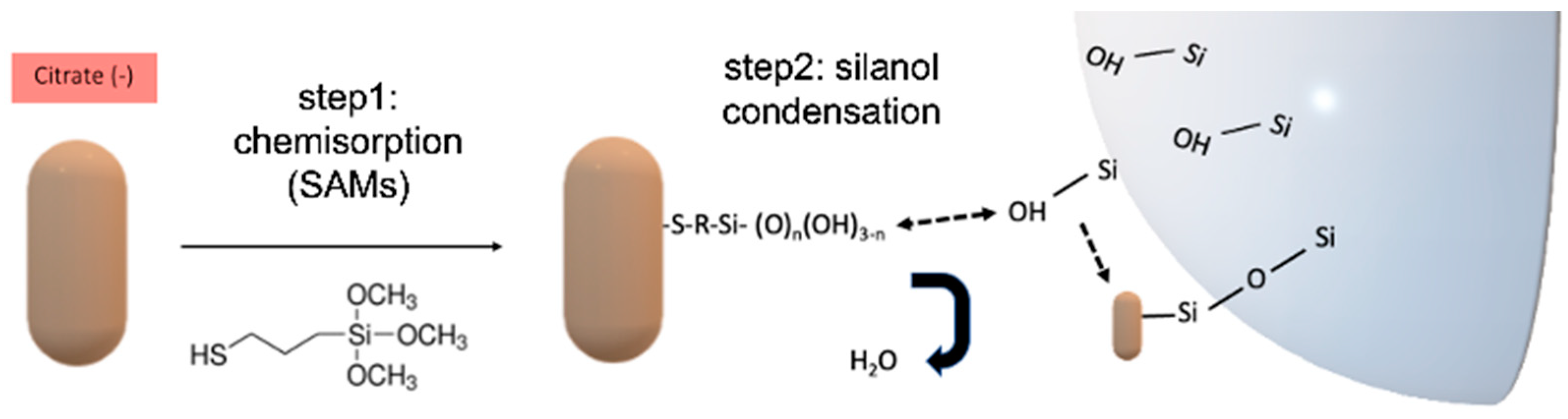 Sensors 23 03455 g001